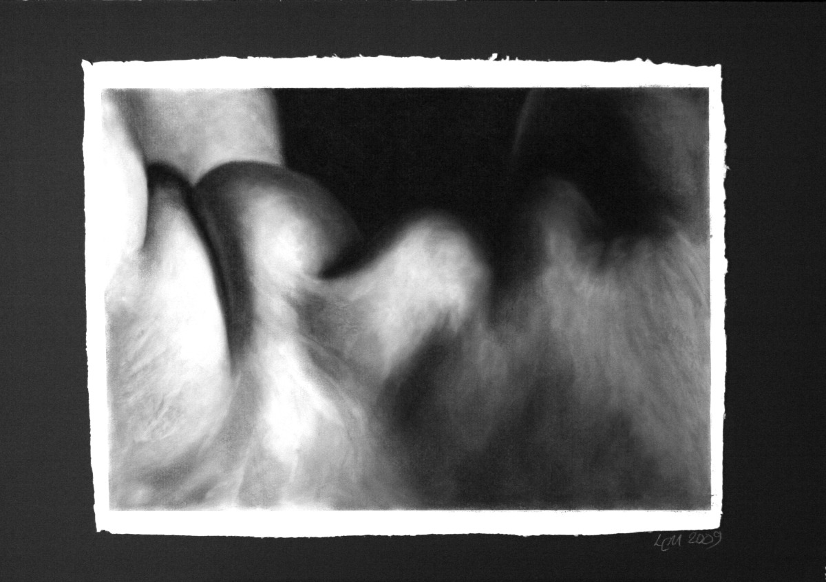 Flesh XIV