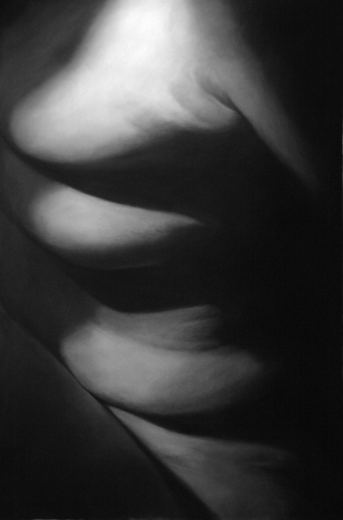 Flesh X