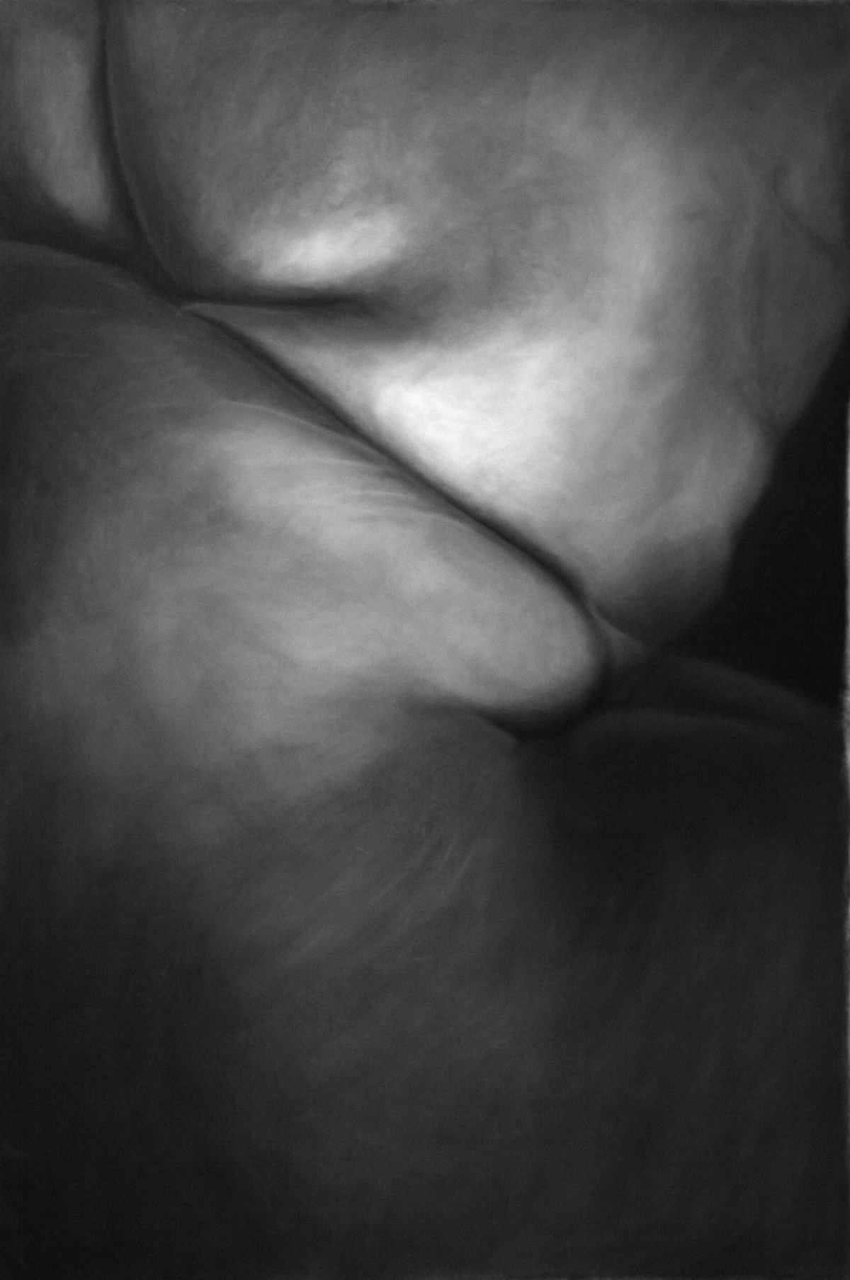 Flesh V