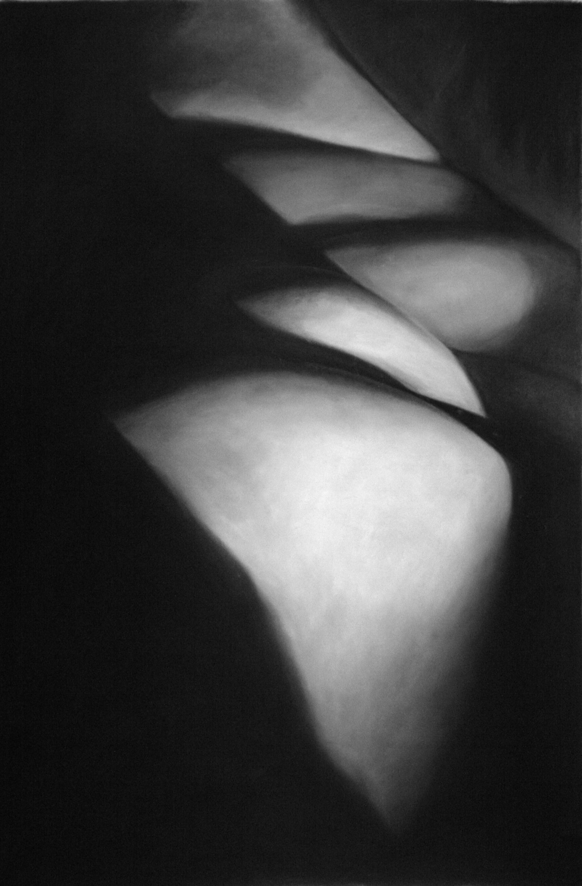 Flesh VIII