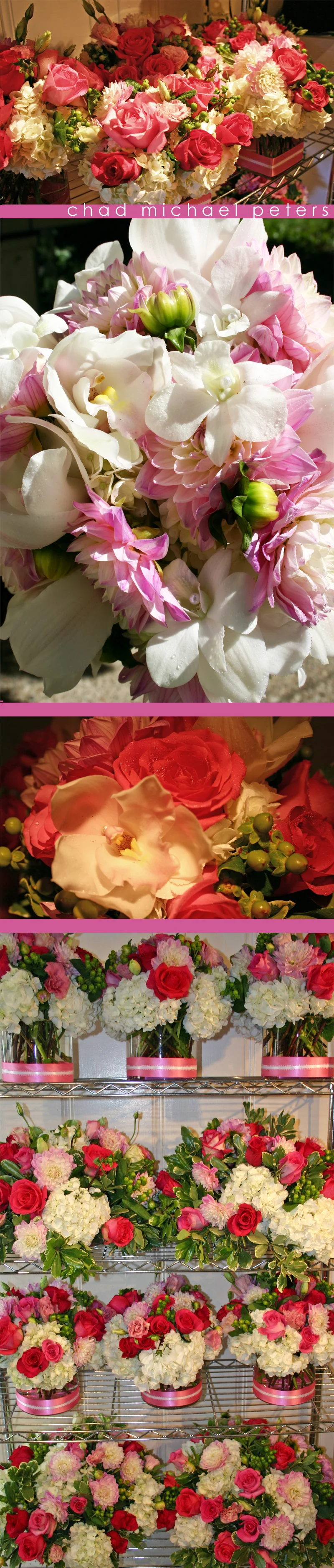 Sarah Curran Studio Shots.jpg