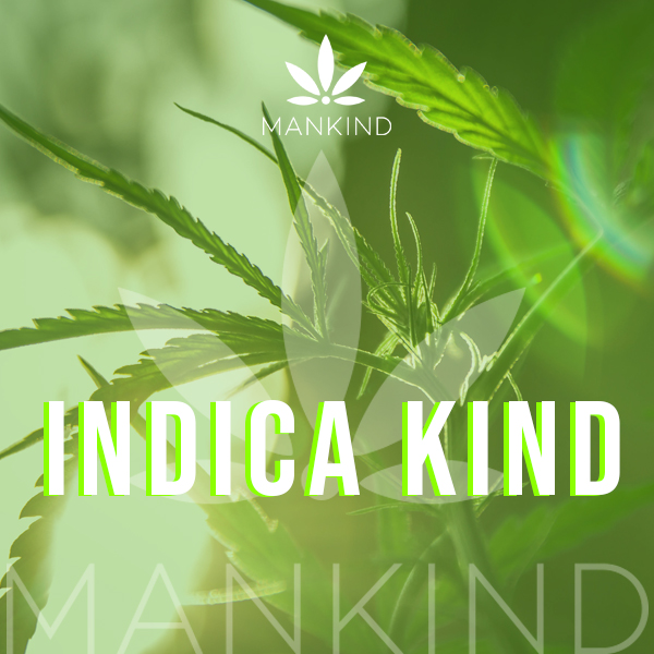 Indica1.1.jpg