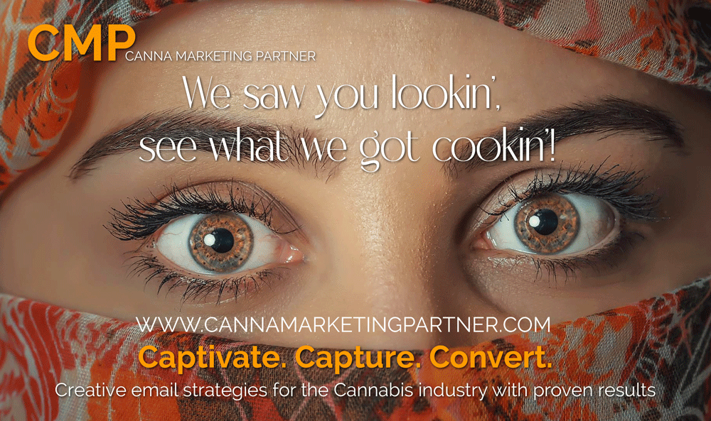 Tracking Opens and Clicks | Cannabis Email Marketing Strategies