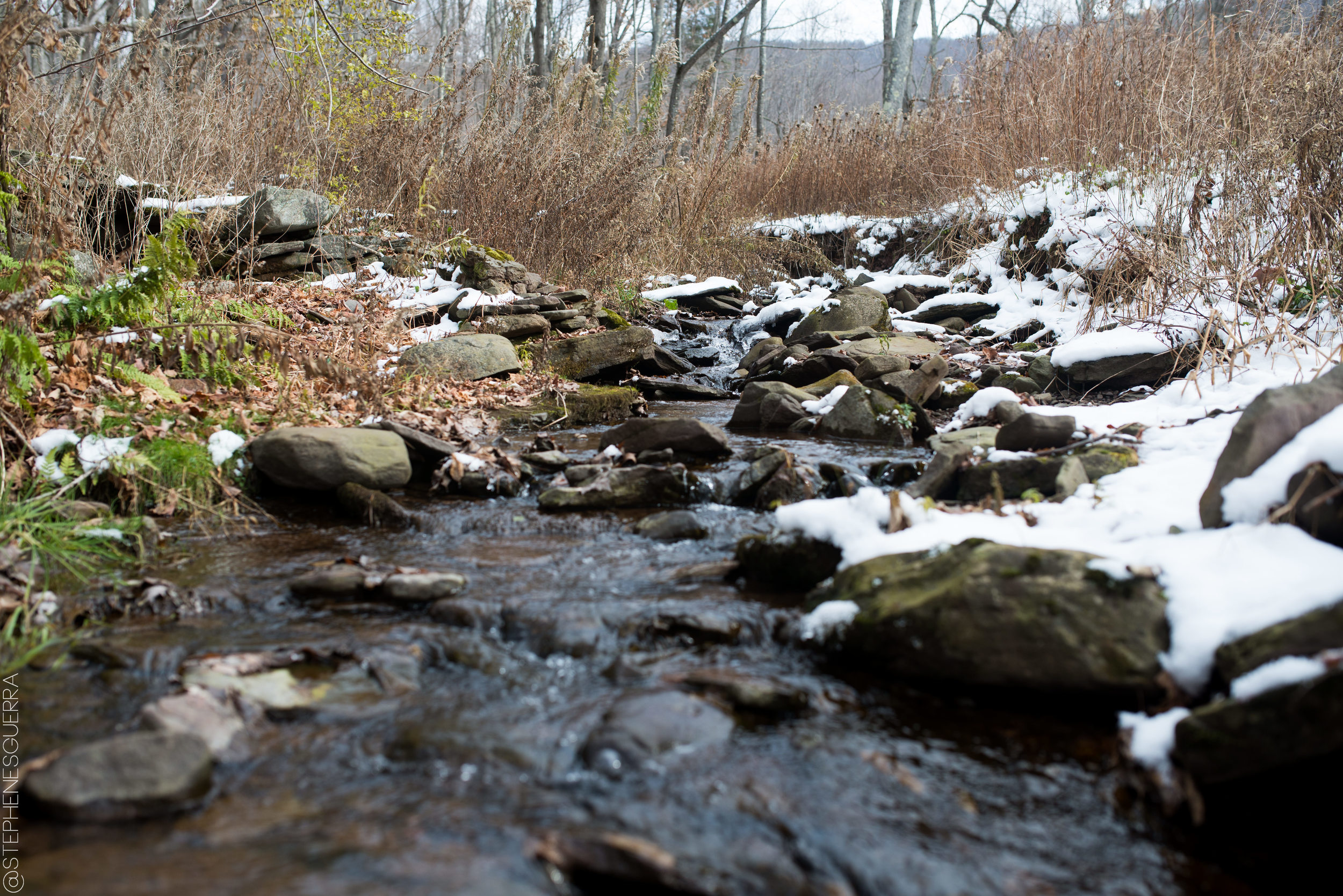 StephenEsguerraPhoto-5549.jpg