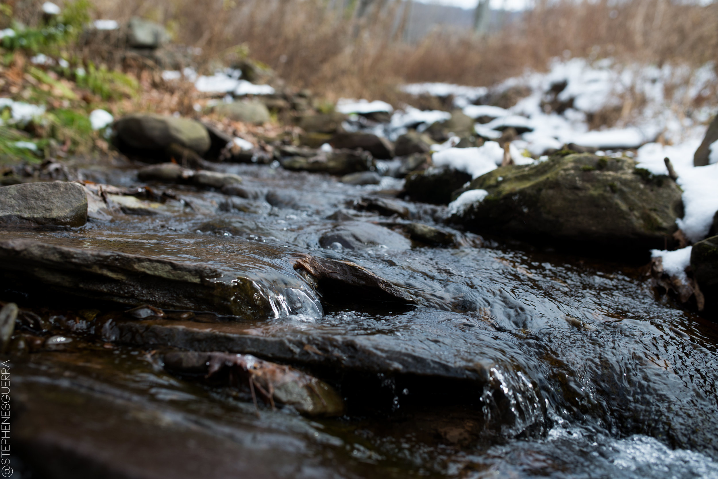 StephenEsguerraPhoto-5553.jpg