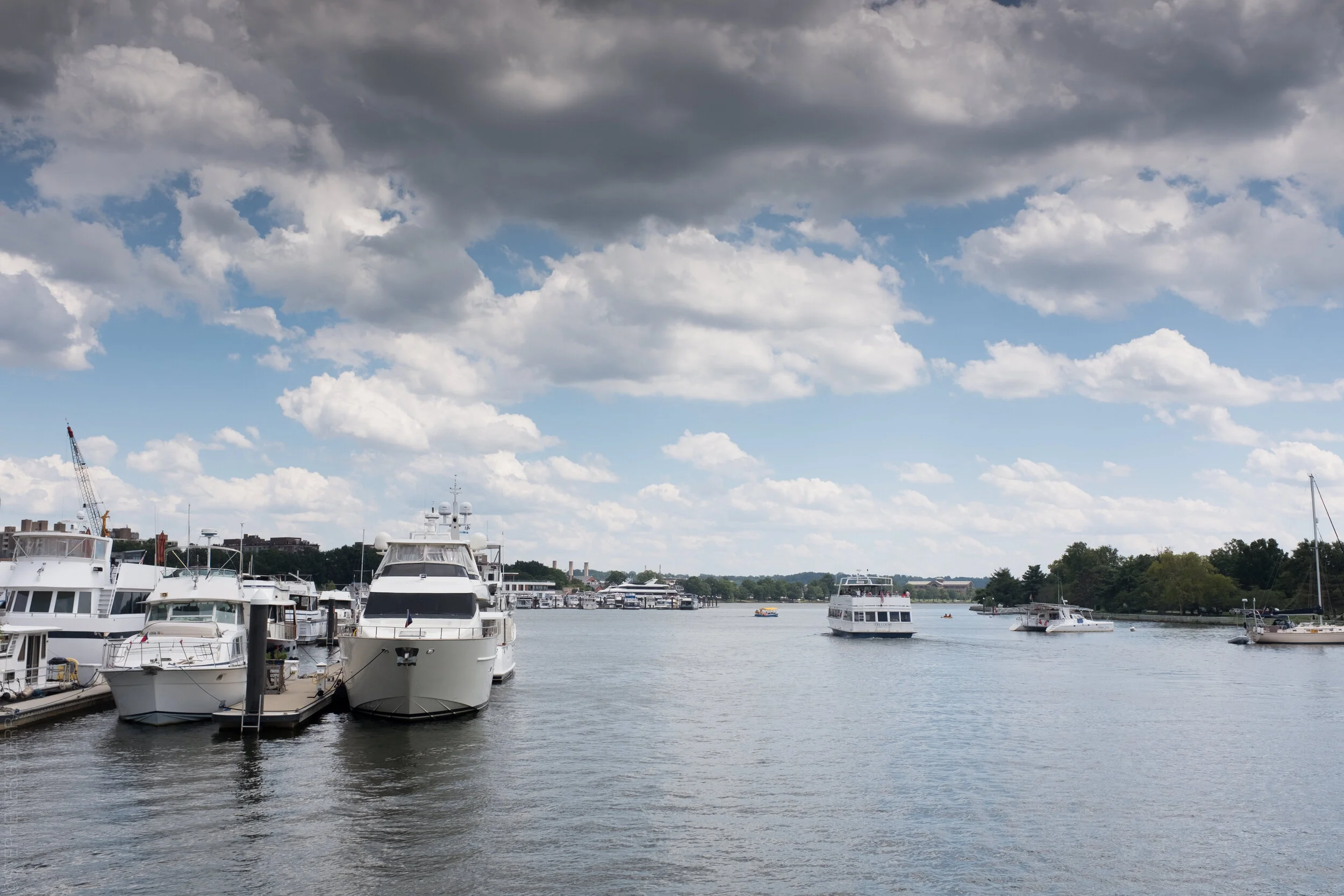 StephenEsguerraPhotography-0031.jpg