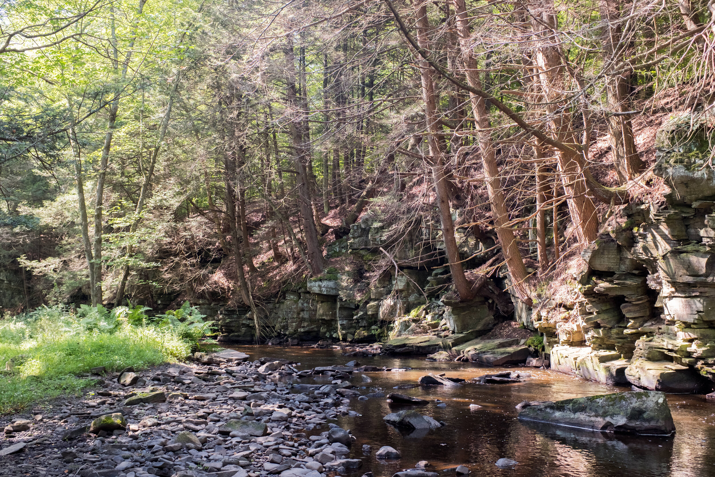 StephenEsguerraPhotography-0556.jpg