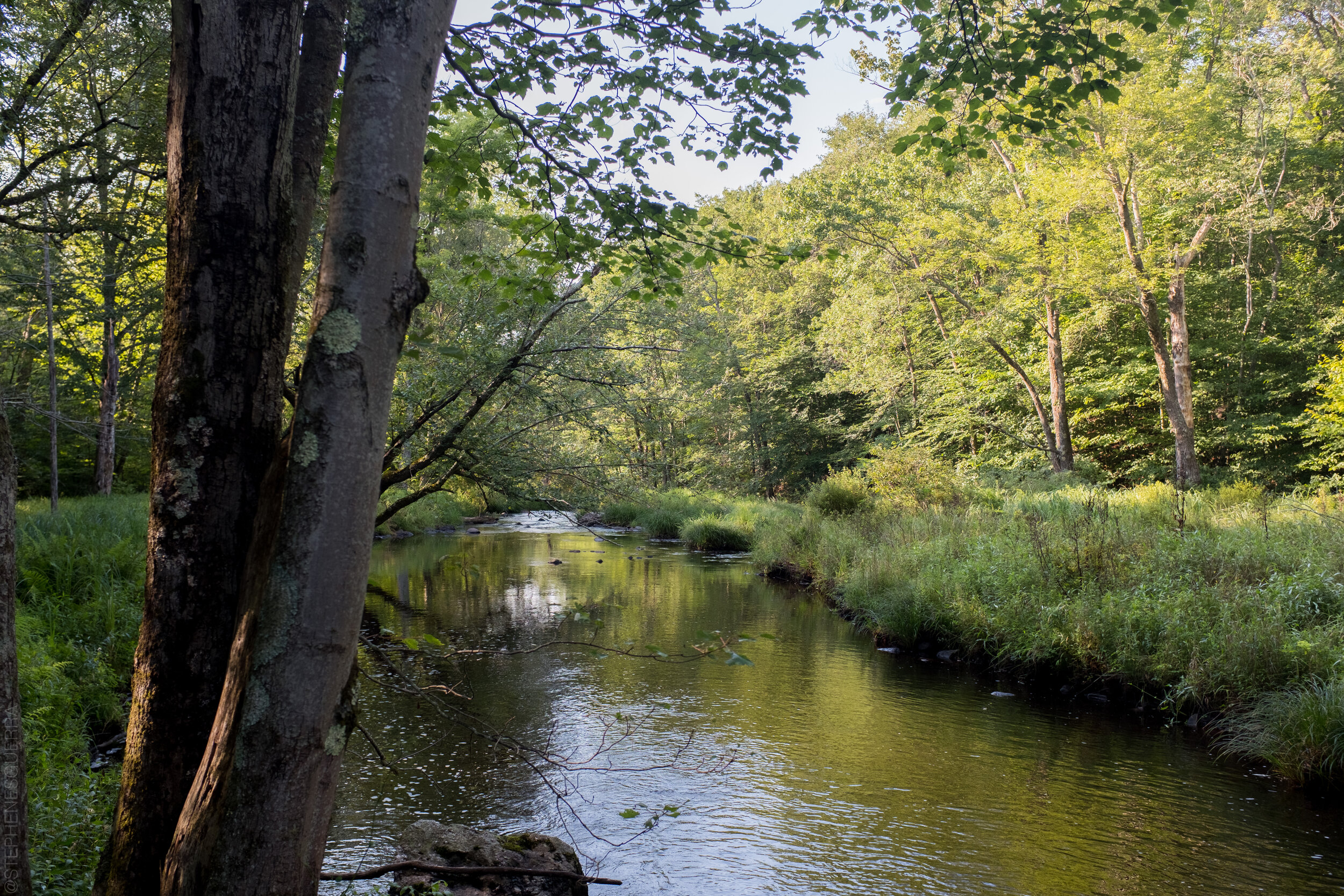 StephenEsguerraPhotography-0616.jpg