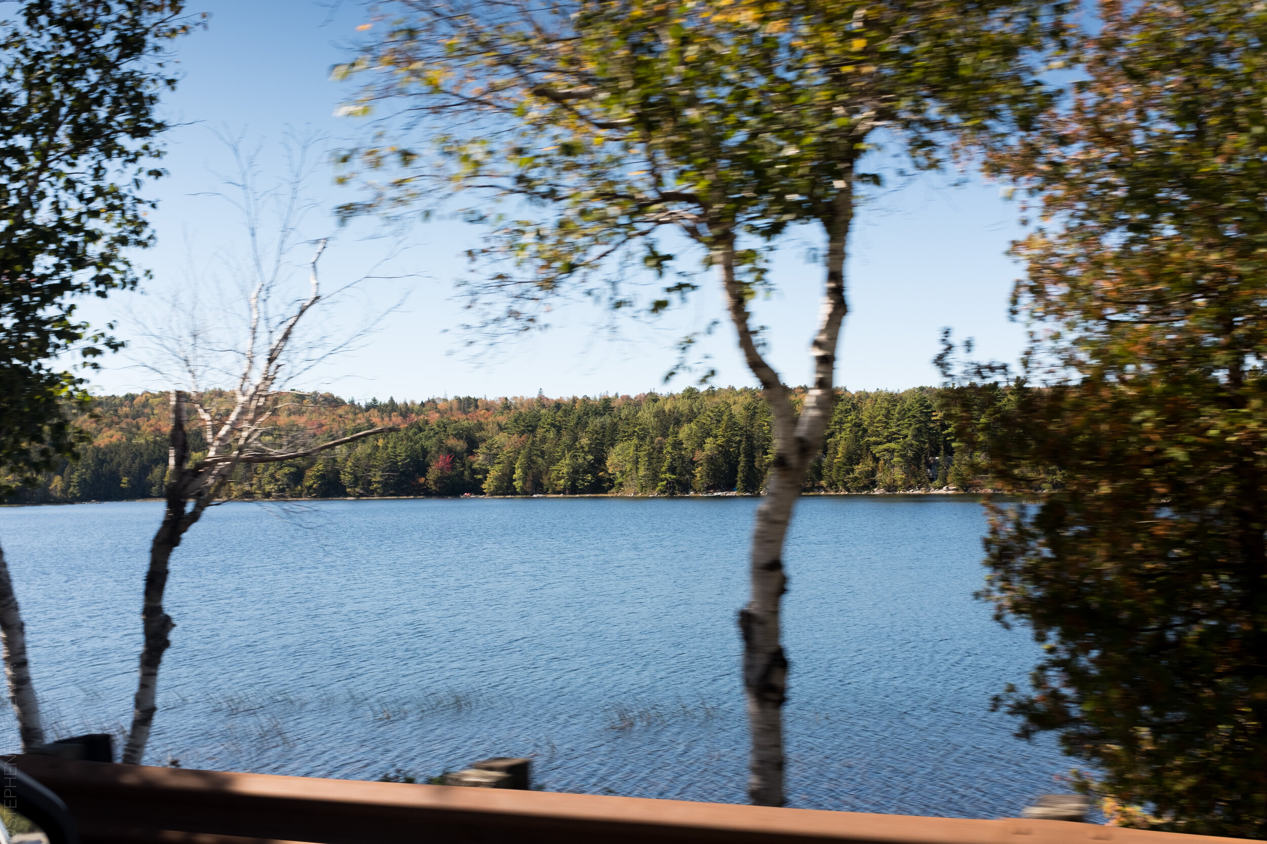 StephenEsguerraPhotography-1330.jpg