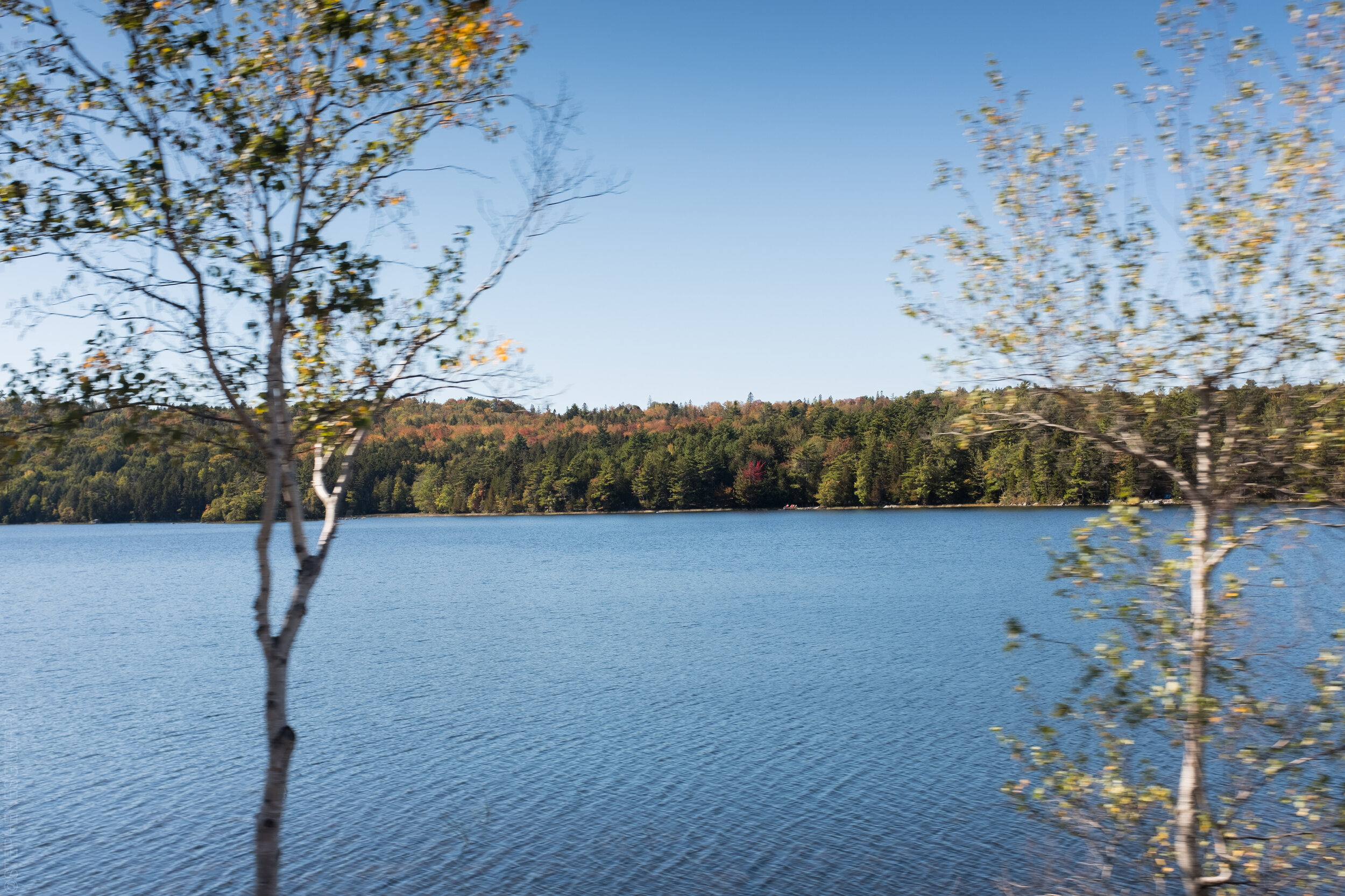 StephenEsguerraPhotography-1334.jpg