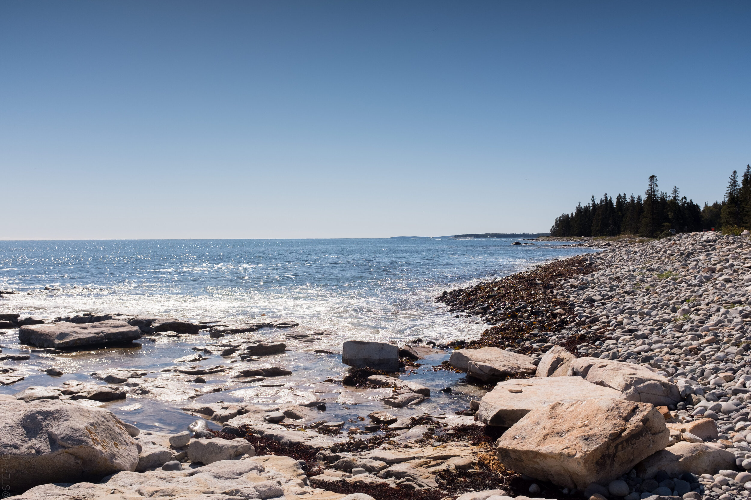 StephenEsguerraPhotography-1365.jpg