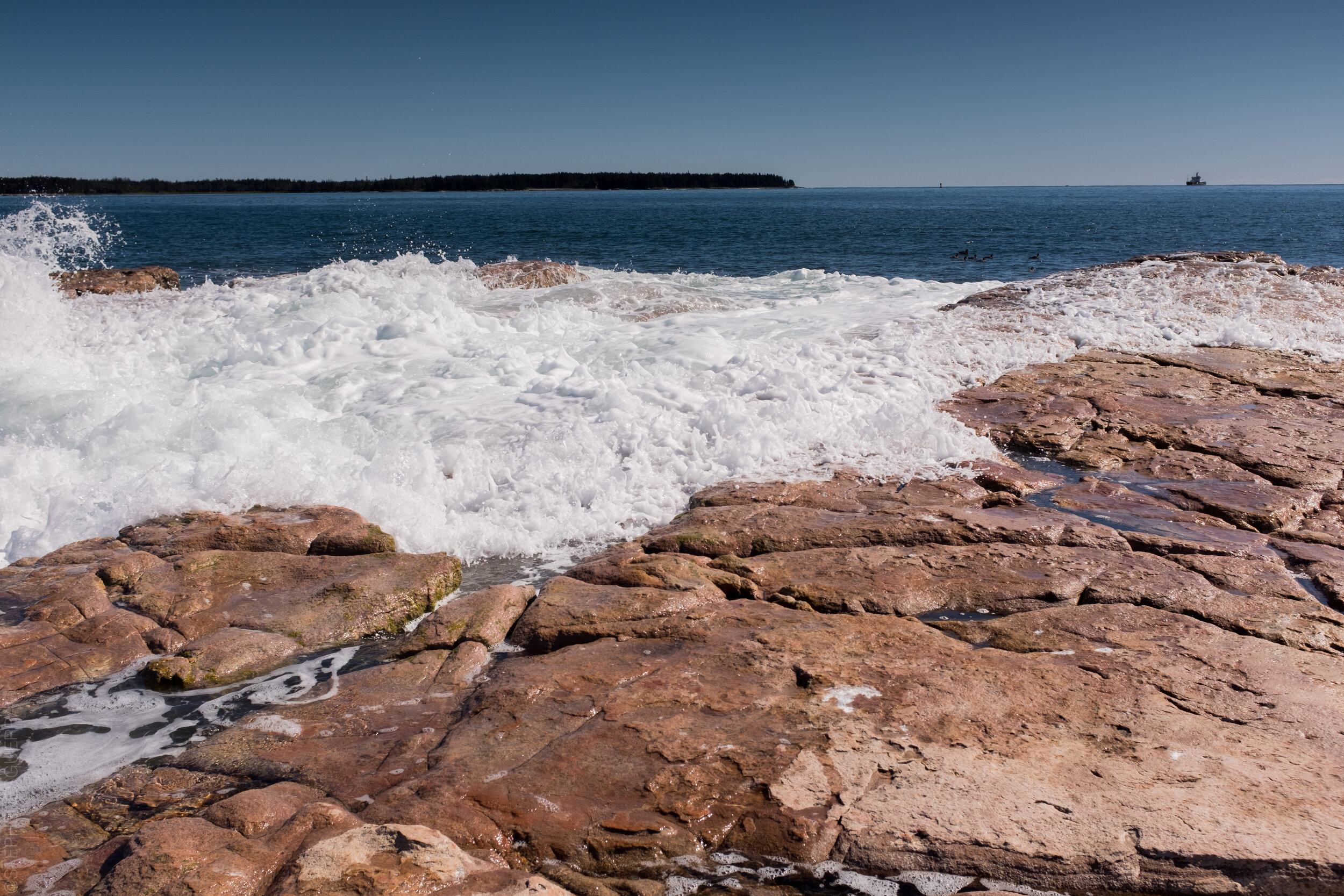 StephenEsguerraPhotography-1366.jpg