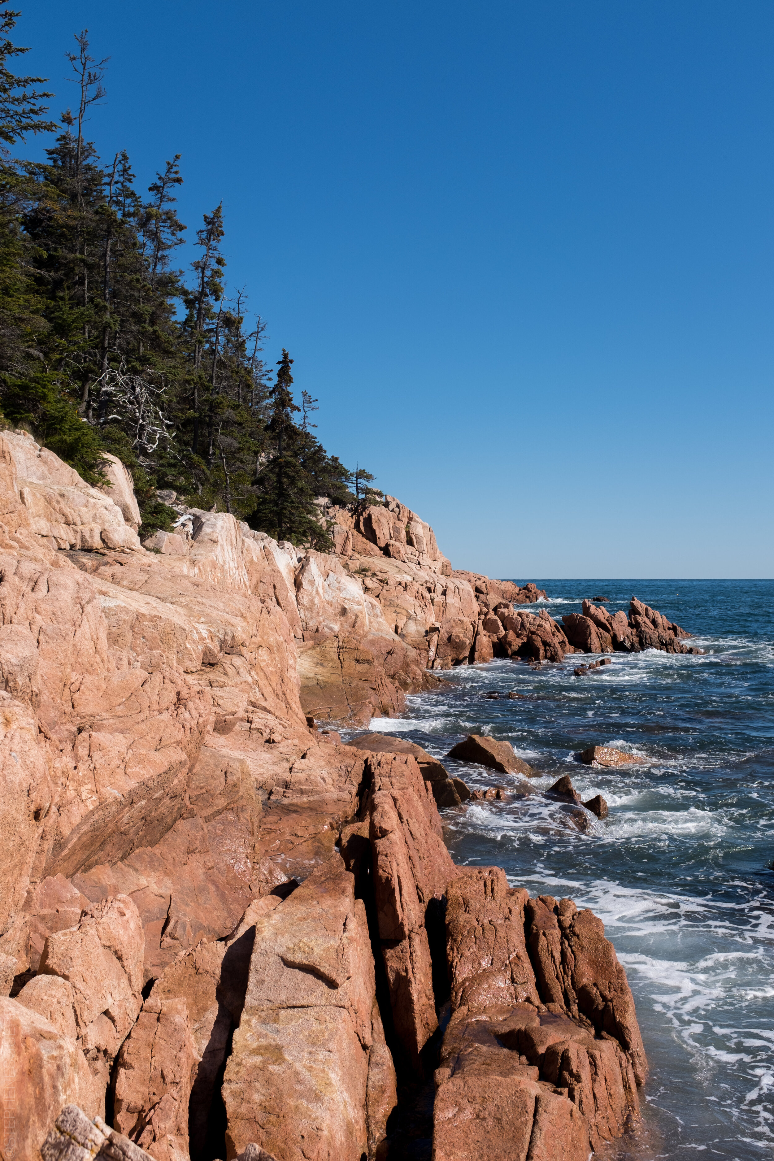 StephenEsguerraPhotography-1460.jpg