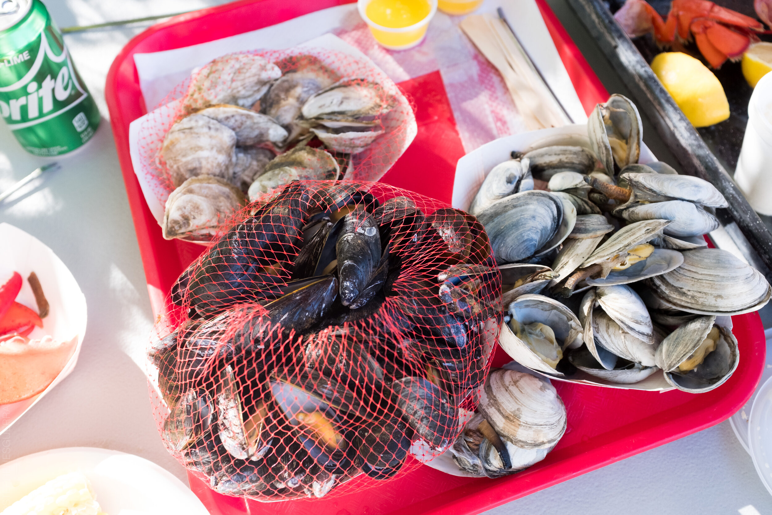 StephenEsguerraPhotography-1524.jpg