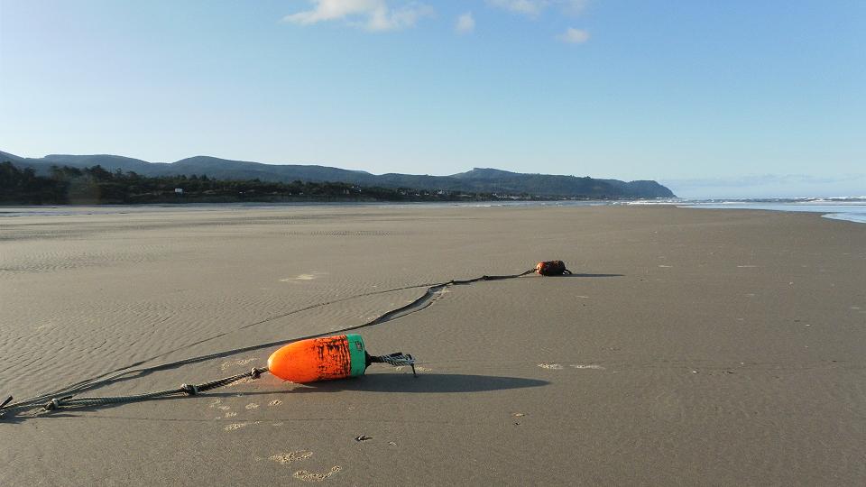 Crab Float on Tillicum Beach