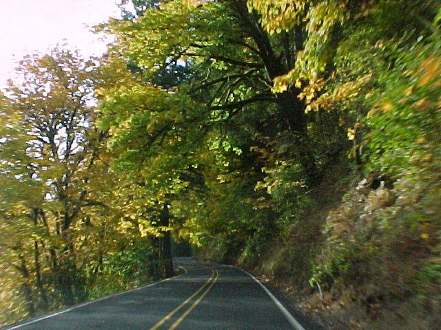 Winding Alsea Hwy 34