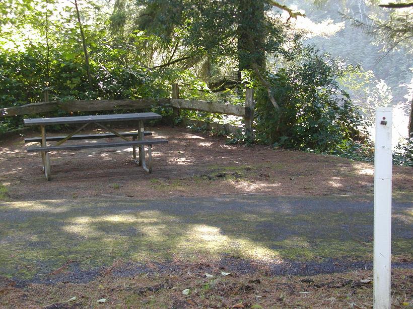 Some Campsites Border Alder Lake