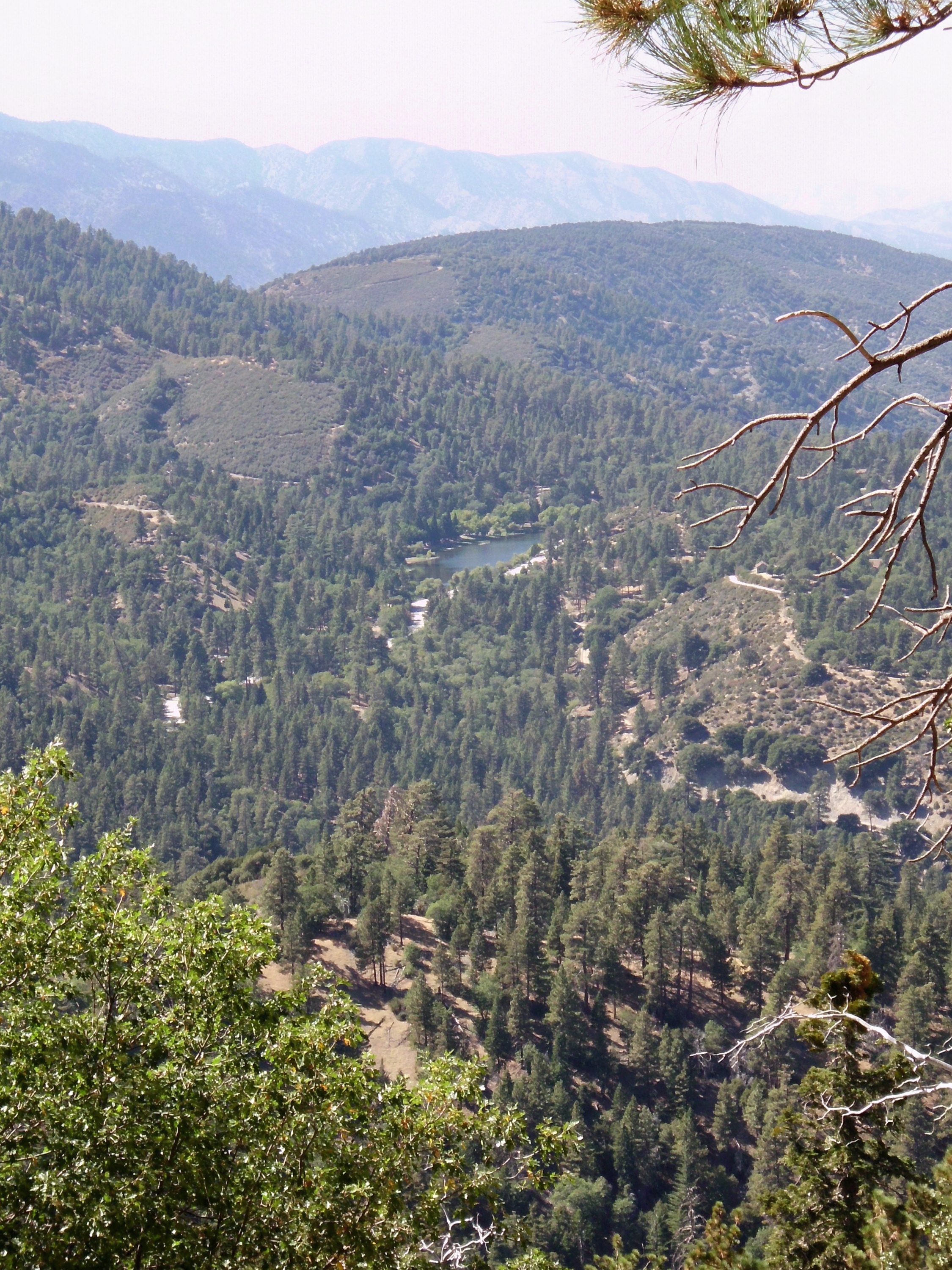 View from Angeles Scenic Byway