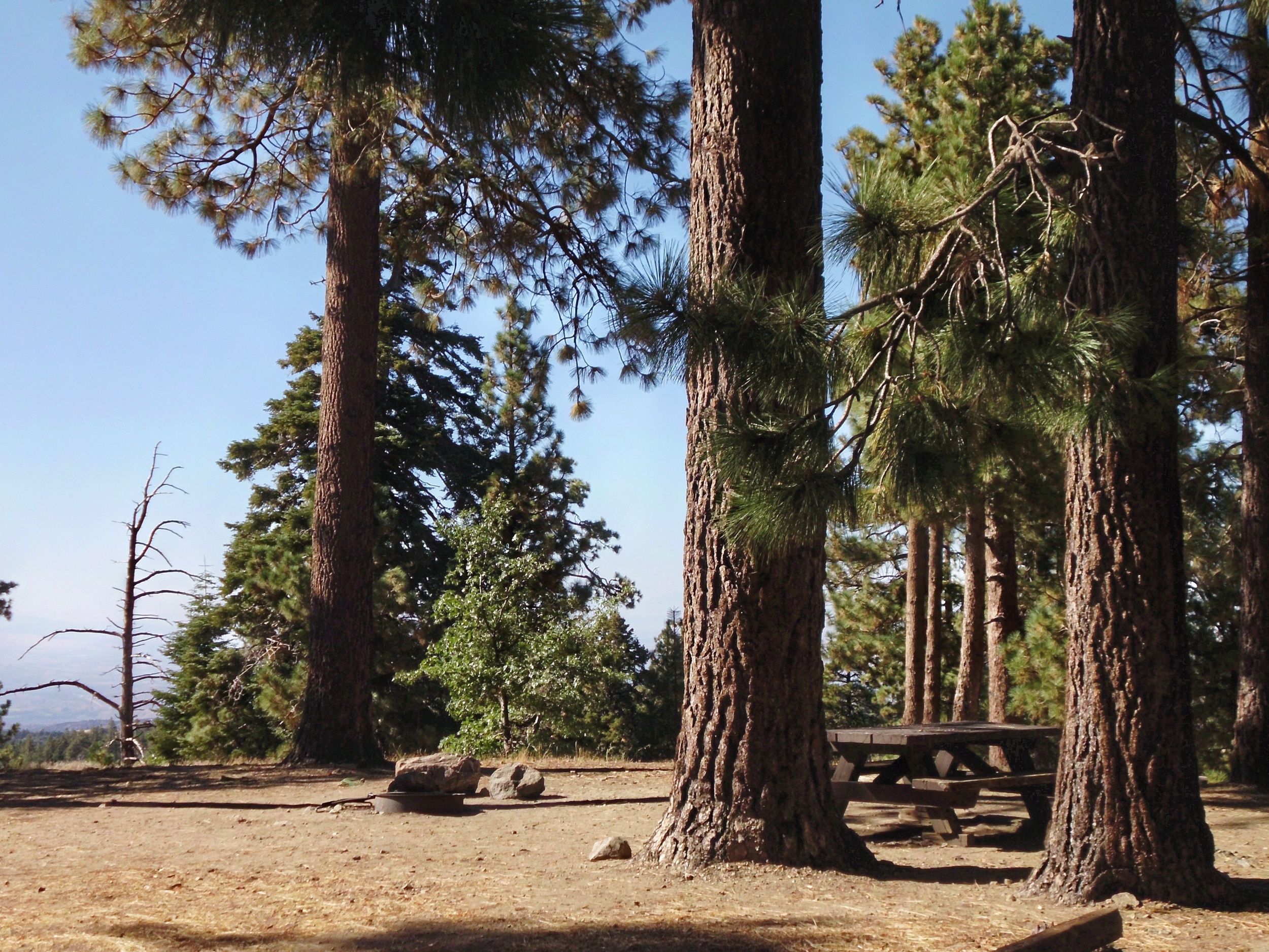 Table and fire ring in campsites