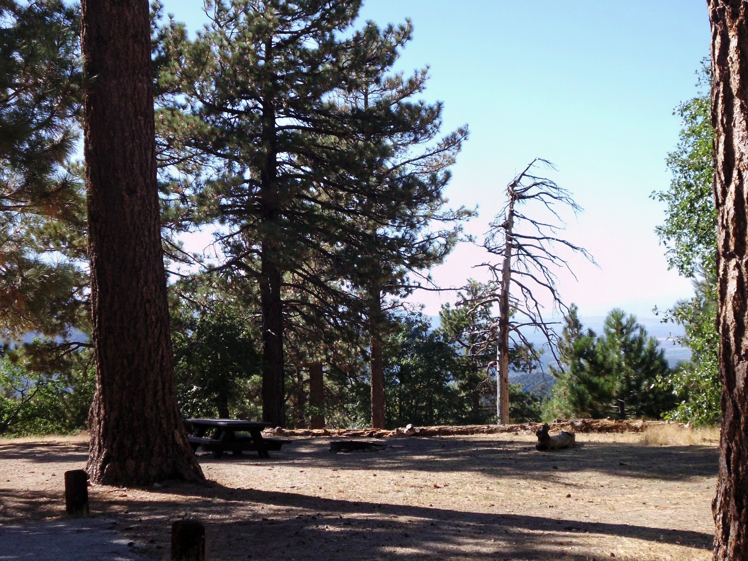 American Land & Leisure Table Mountain Campground