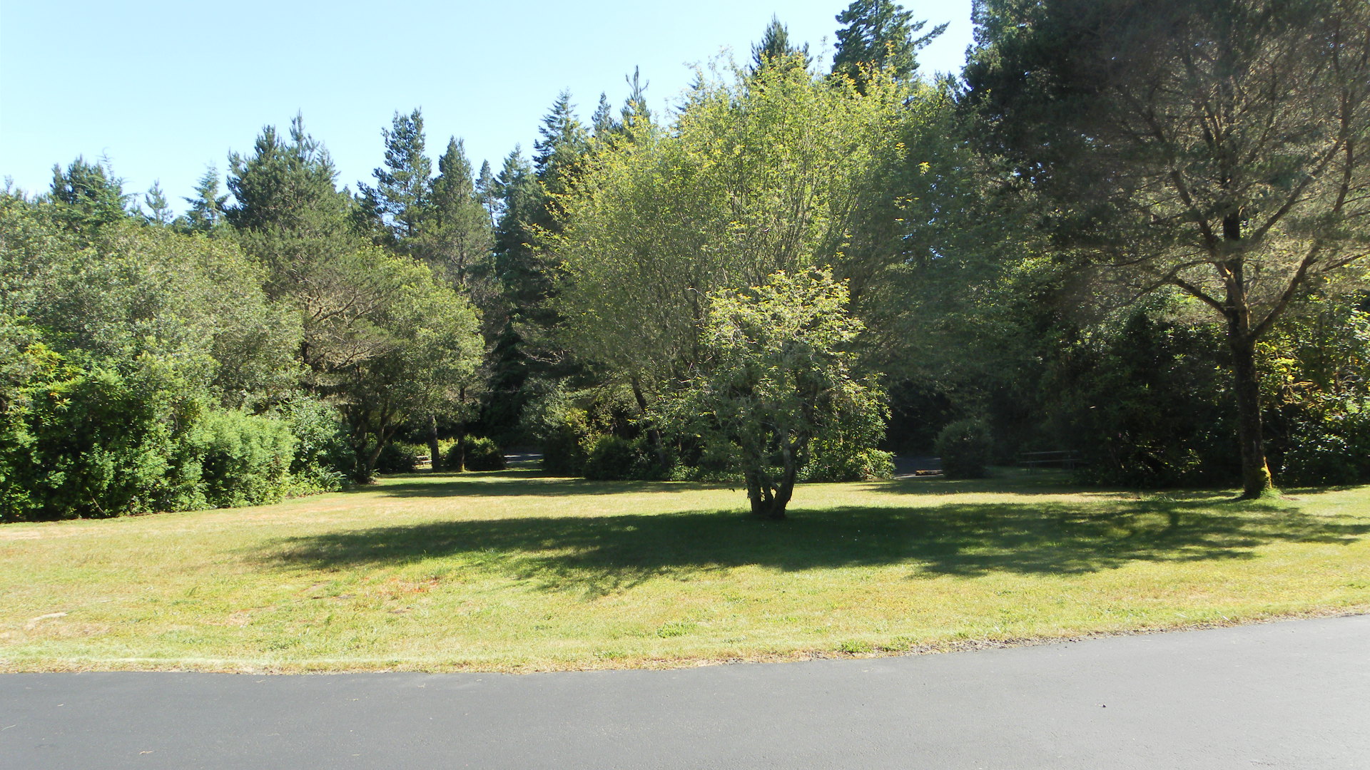 Loop D Group Playing Area