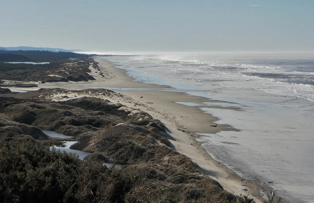 Looking South over Dunes and Baker Beach