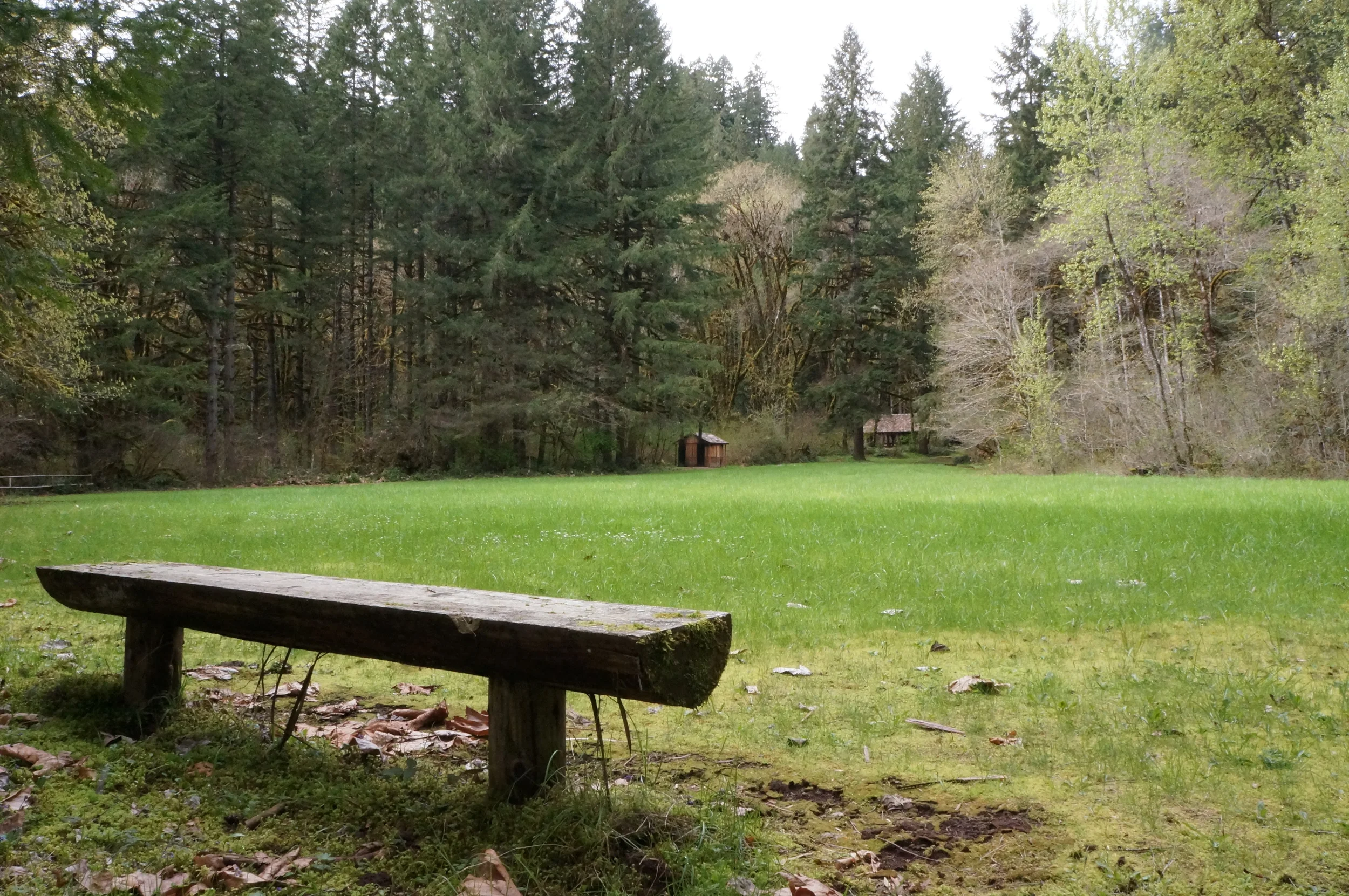 Clark Creek Organization Camp Field