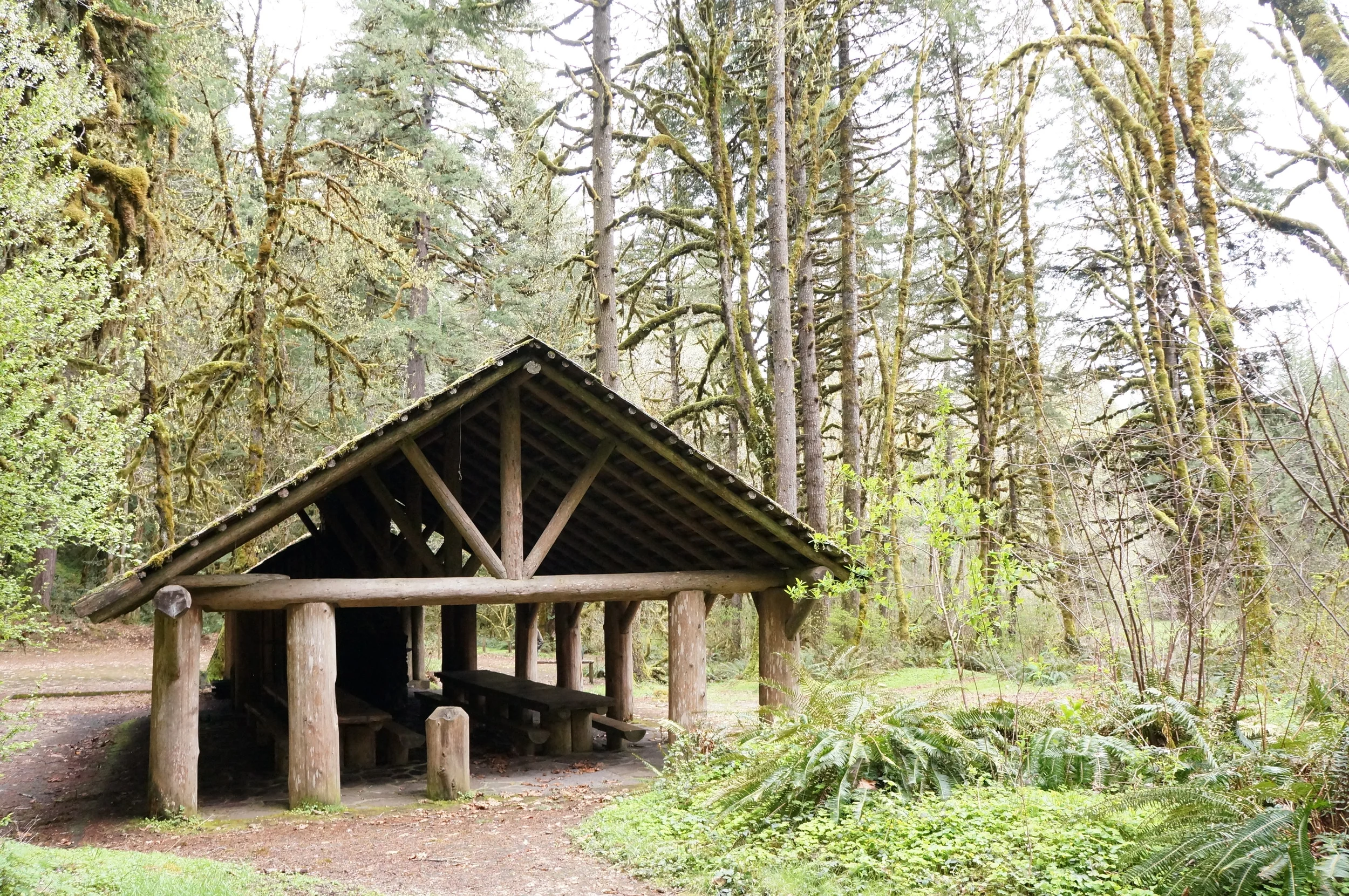 Clark Creek Organization Camp Group Site