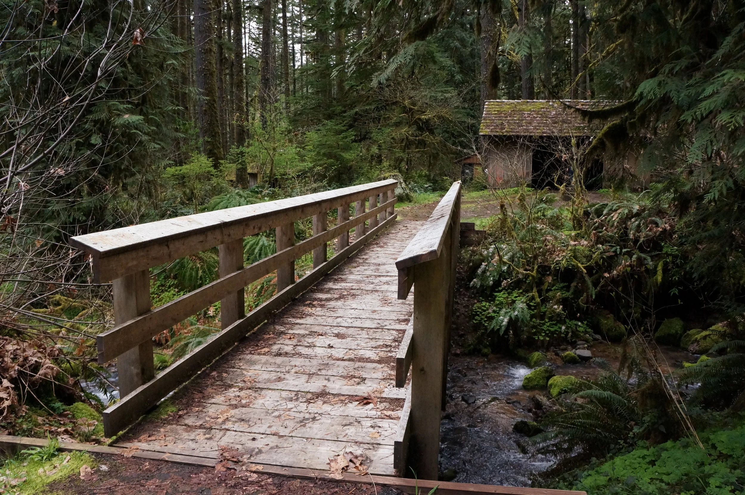 Bridge to Clark Creek Organization Camp Shelters