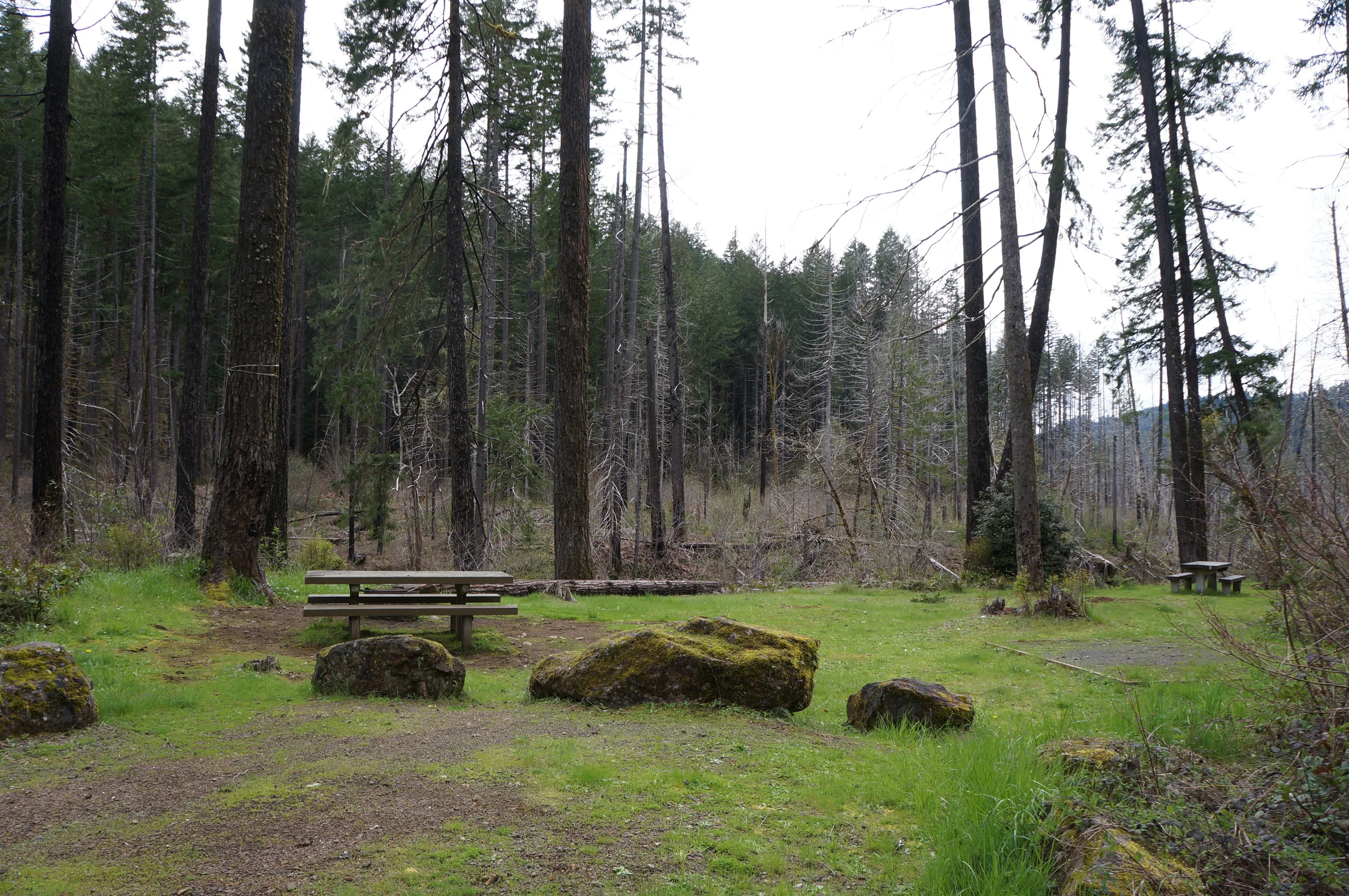 Bed Rock Campground Site 16
