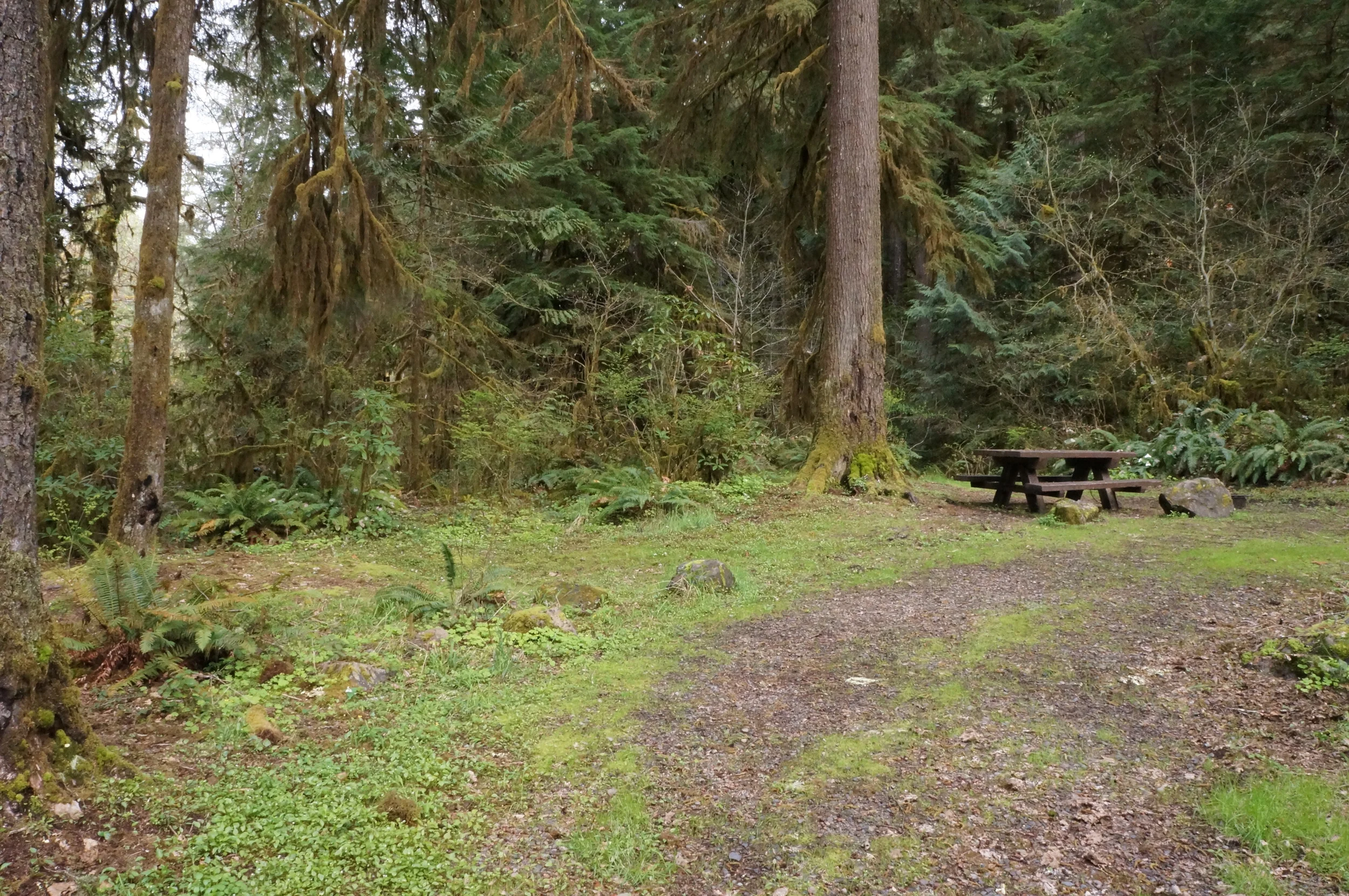 Puma Campground Site 5