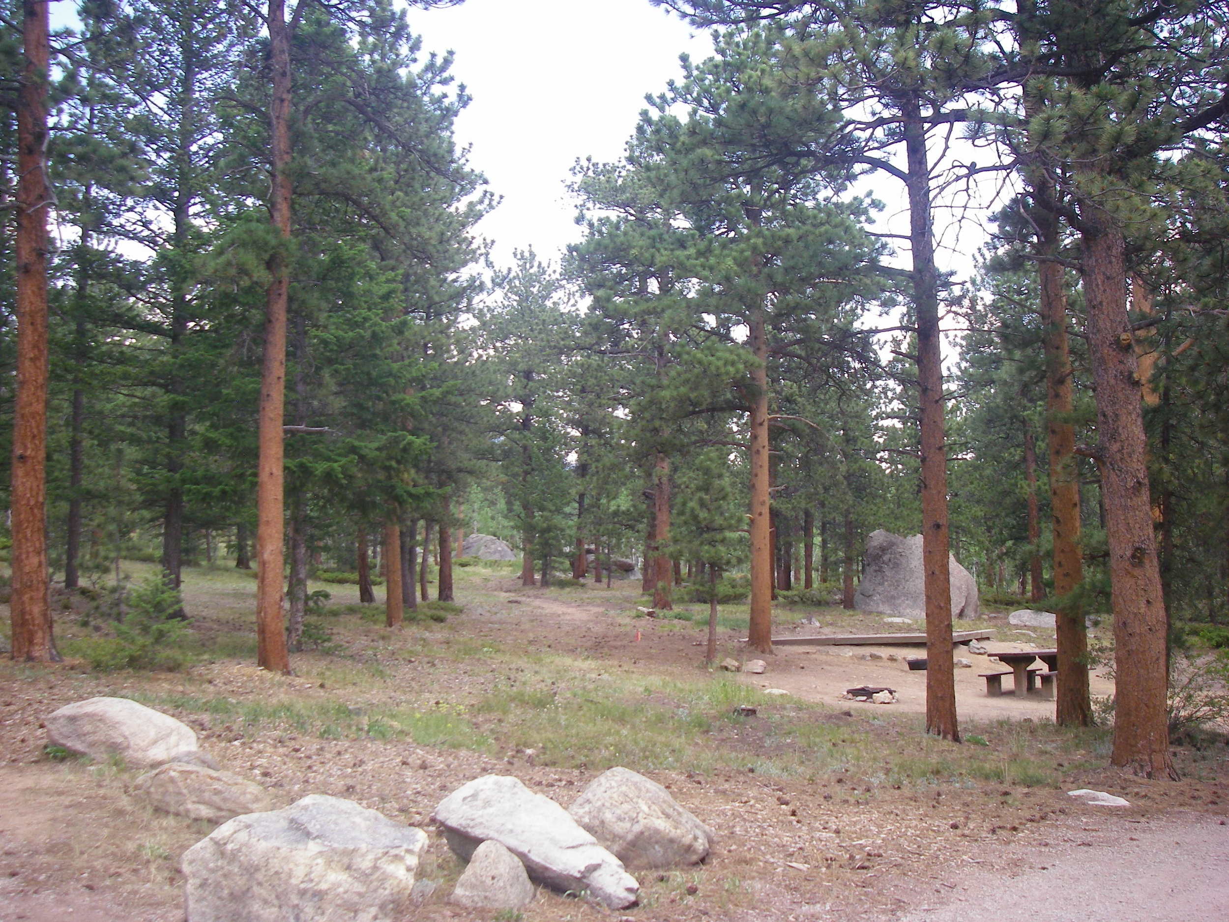 Olive Ridge Campground, Arapaho NF, CO