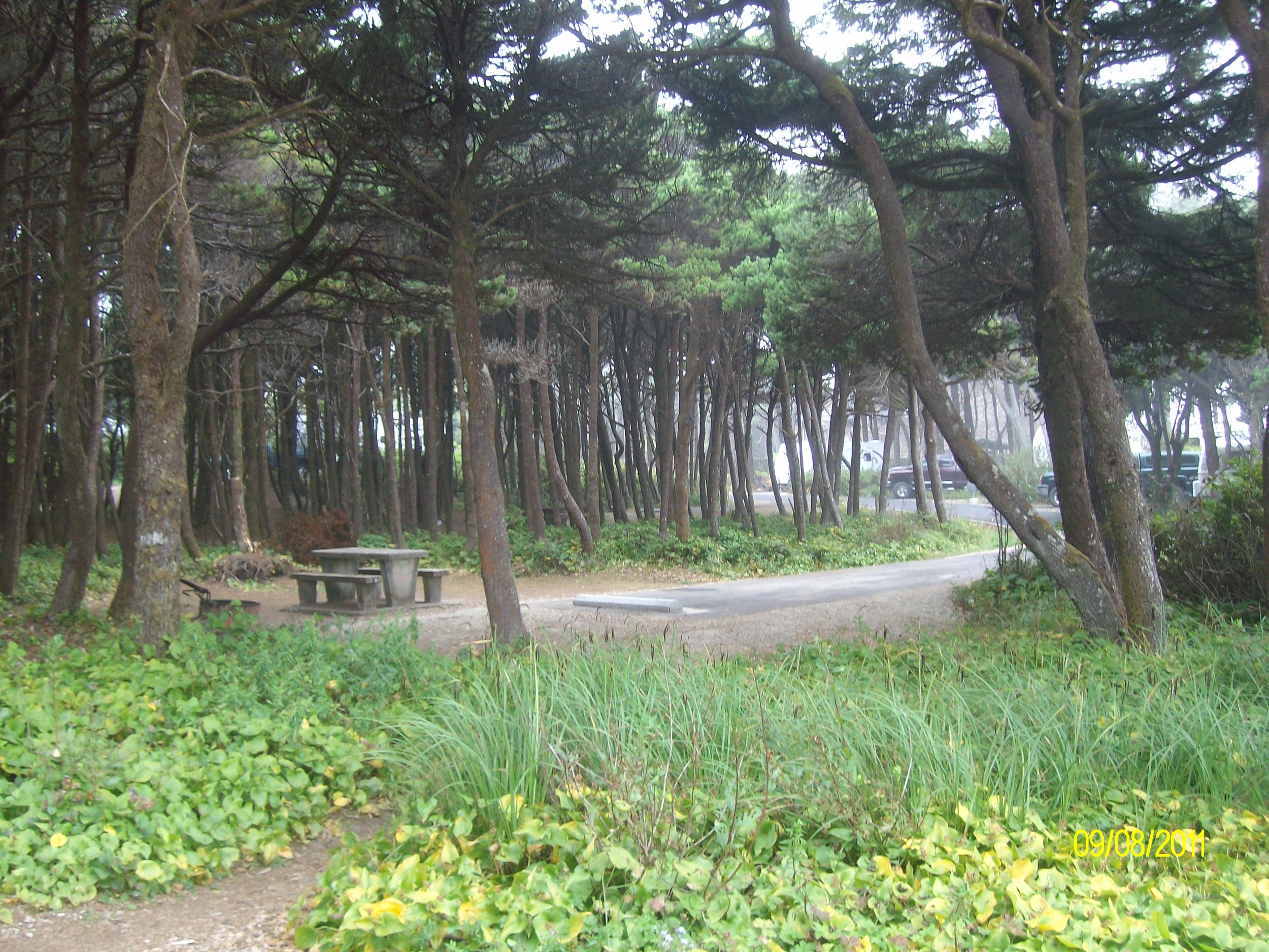 Tillicum Beach Campground, Siuslaw NF, OR