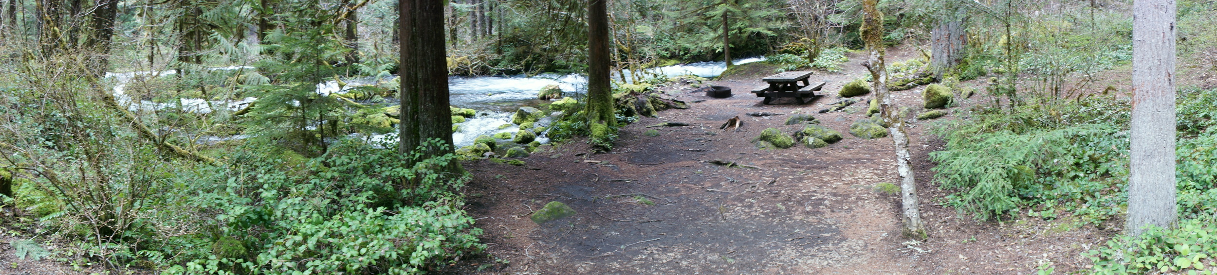 DSC00866.JPG