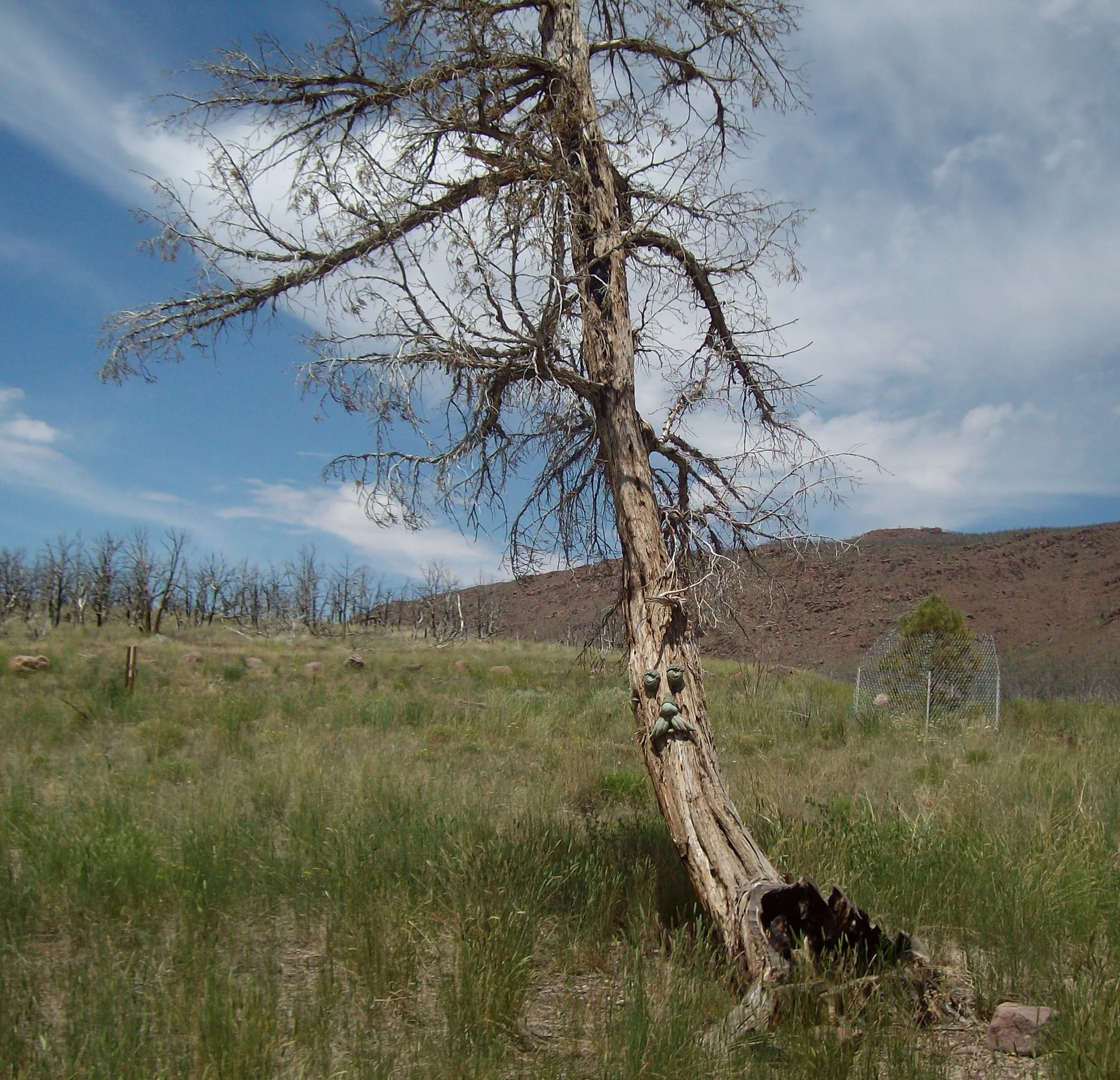 Dripping Spings host site ghost - Copy.JPG