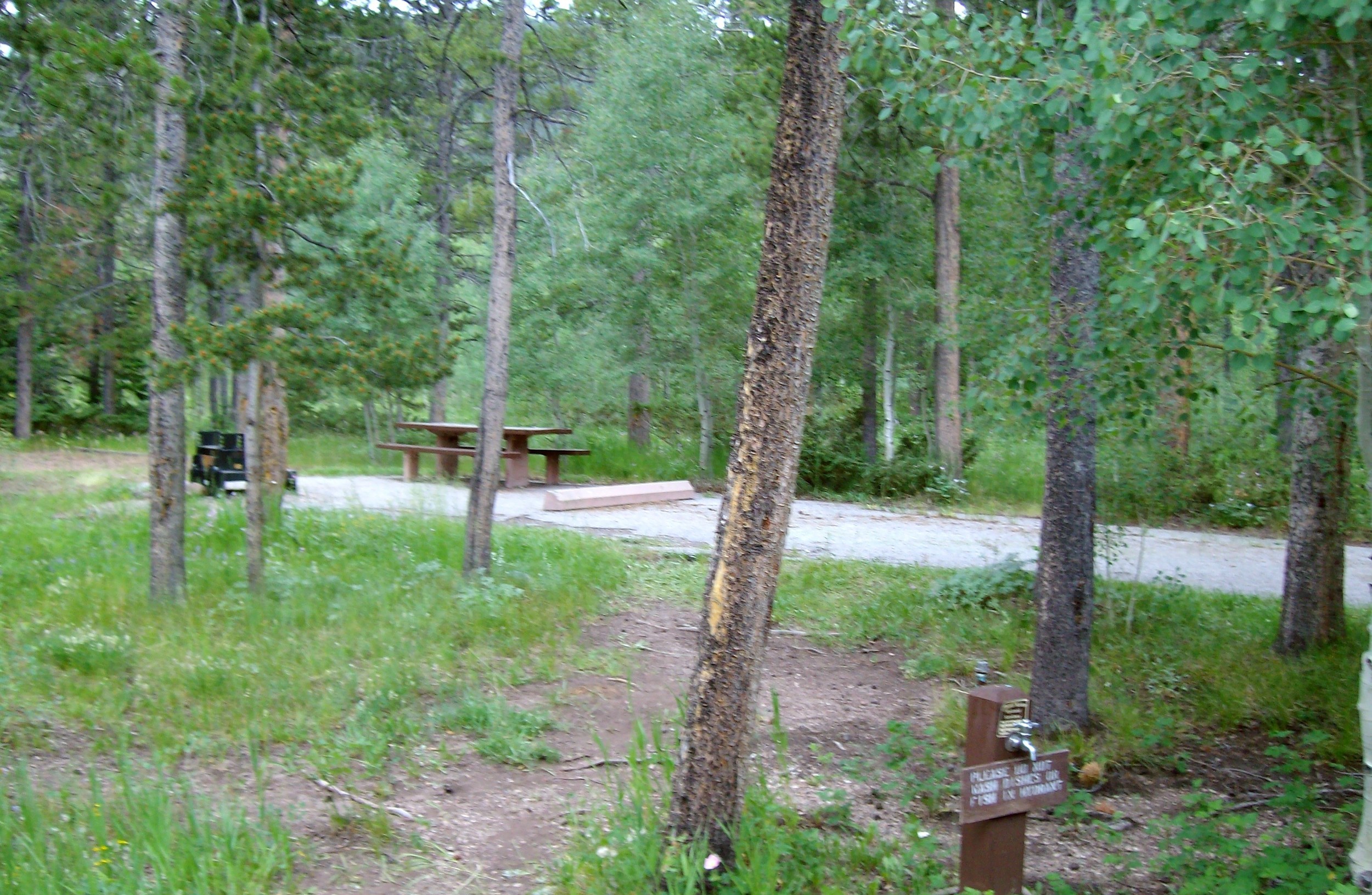 camp site - Copy.JPG