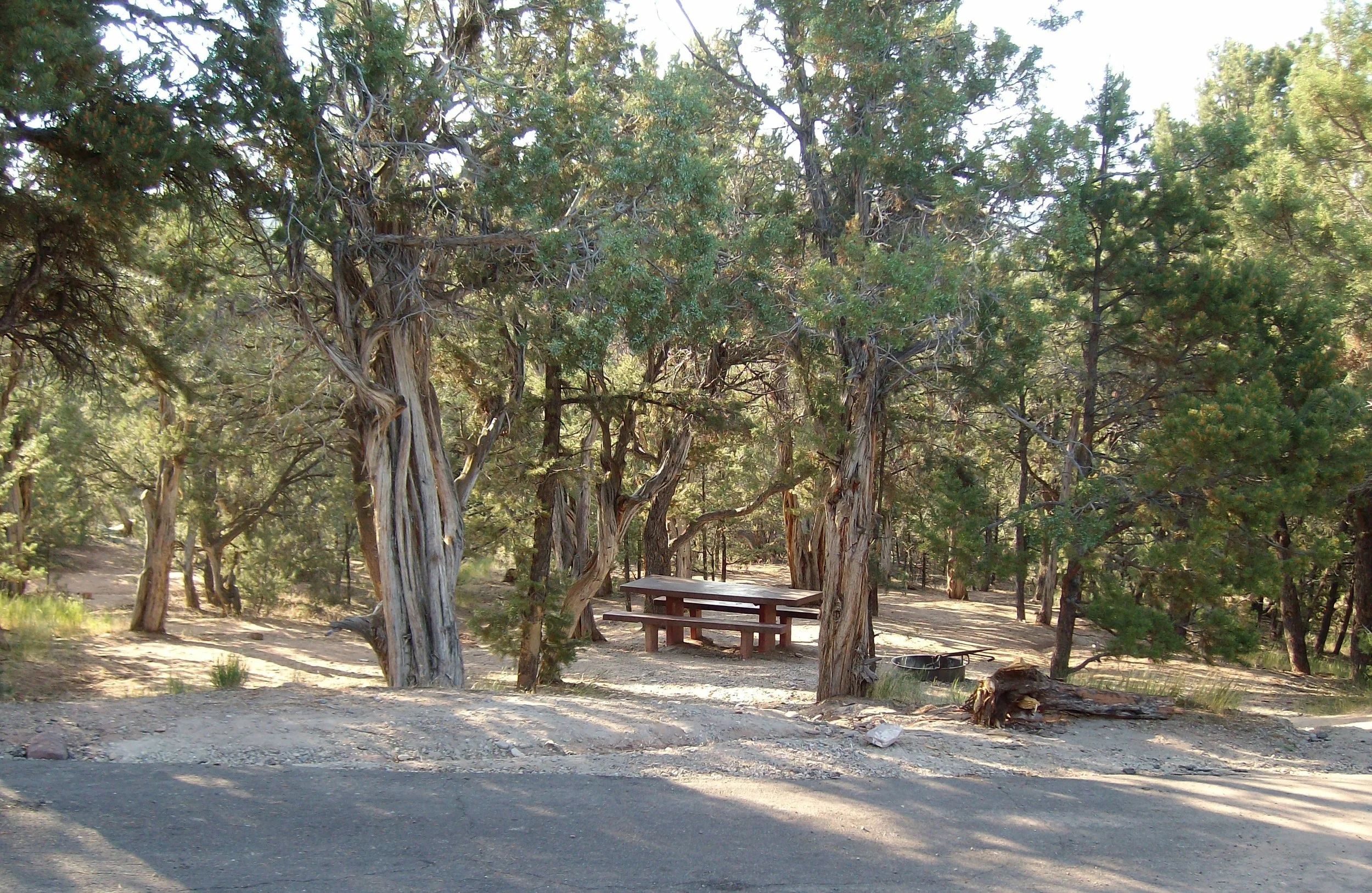 typical site (3) - Copy.JPG