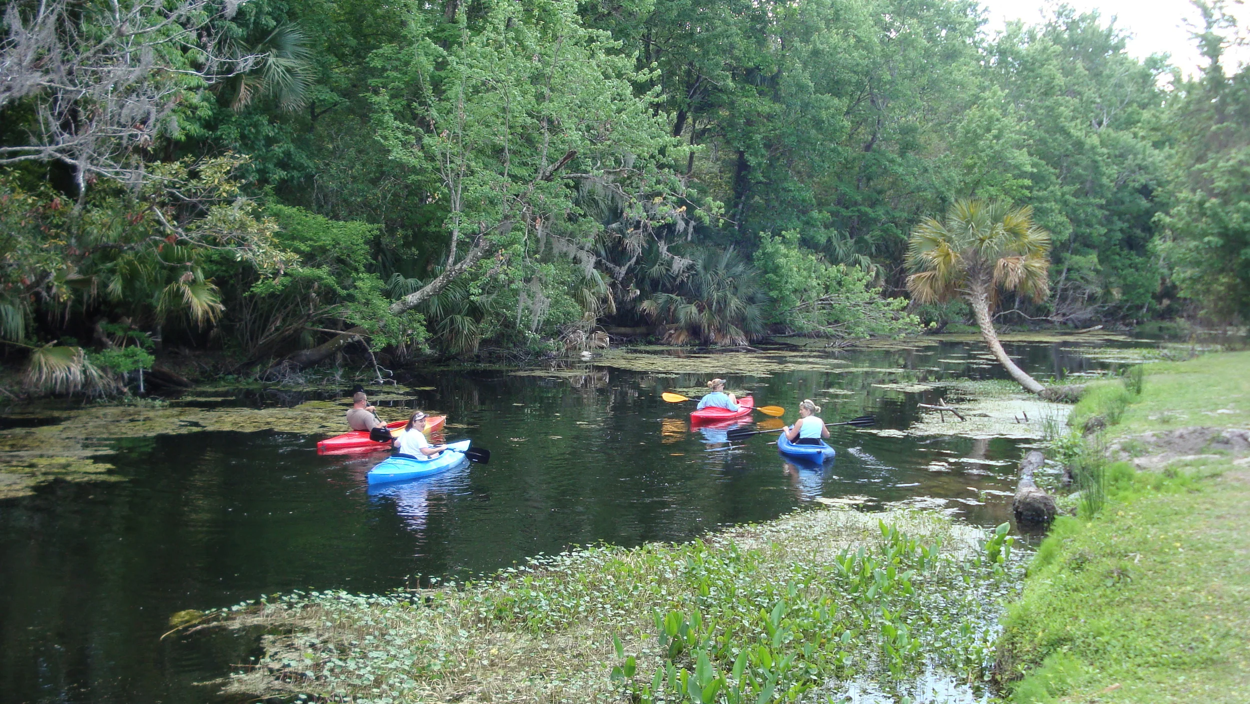 DSC01208.JPG