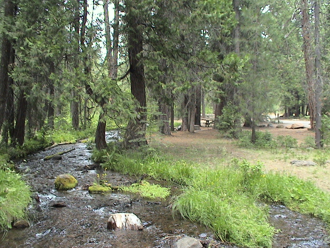 Creek through Last Chance Campground