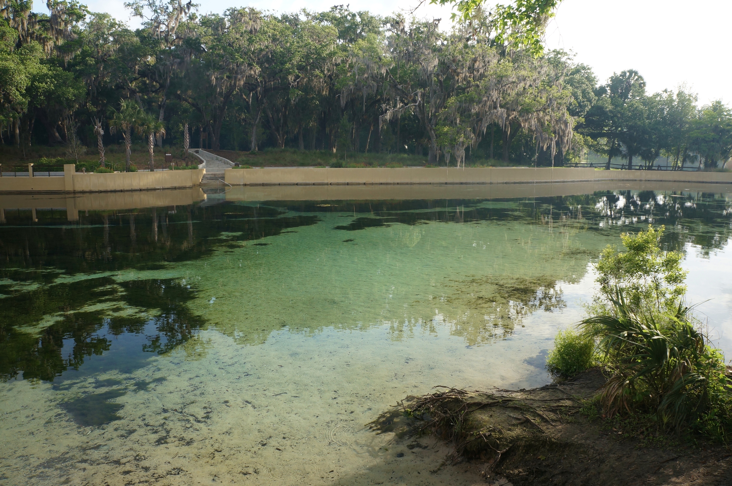 Large swimming area