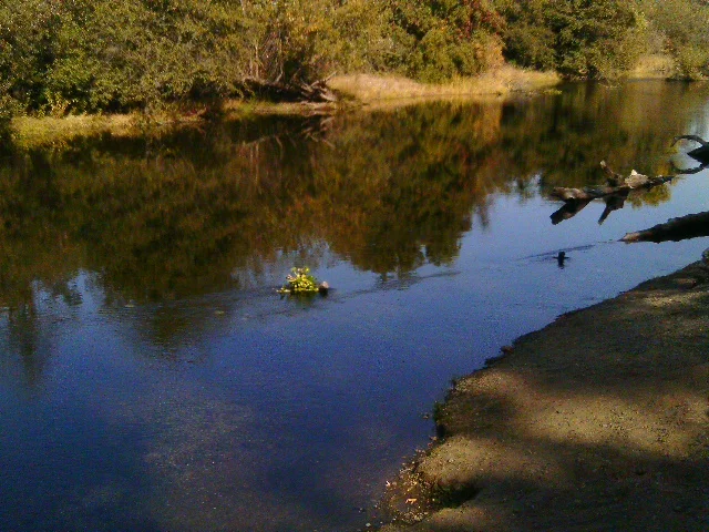 Turlock Lake SRA, near Modesto, California