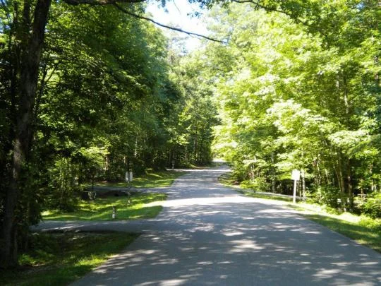 Paved Roads