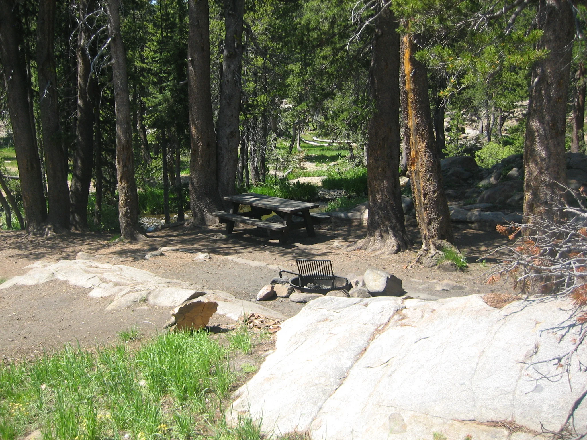 Shady campsites
