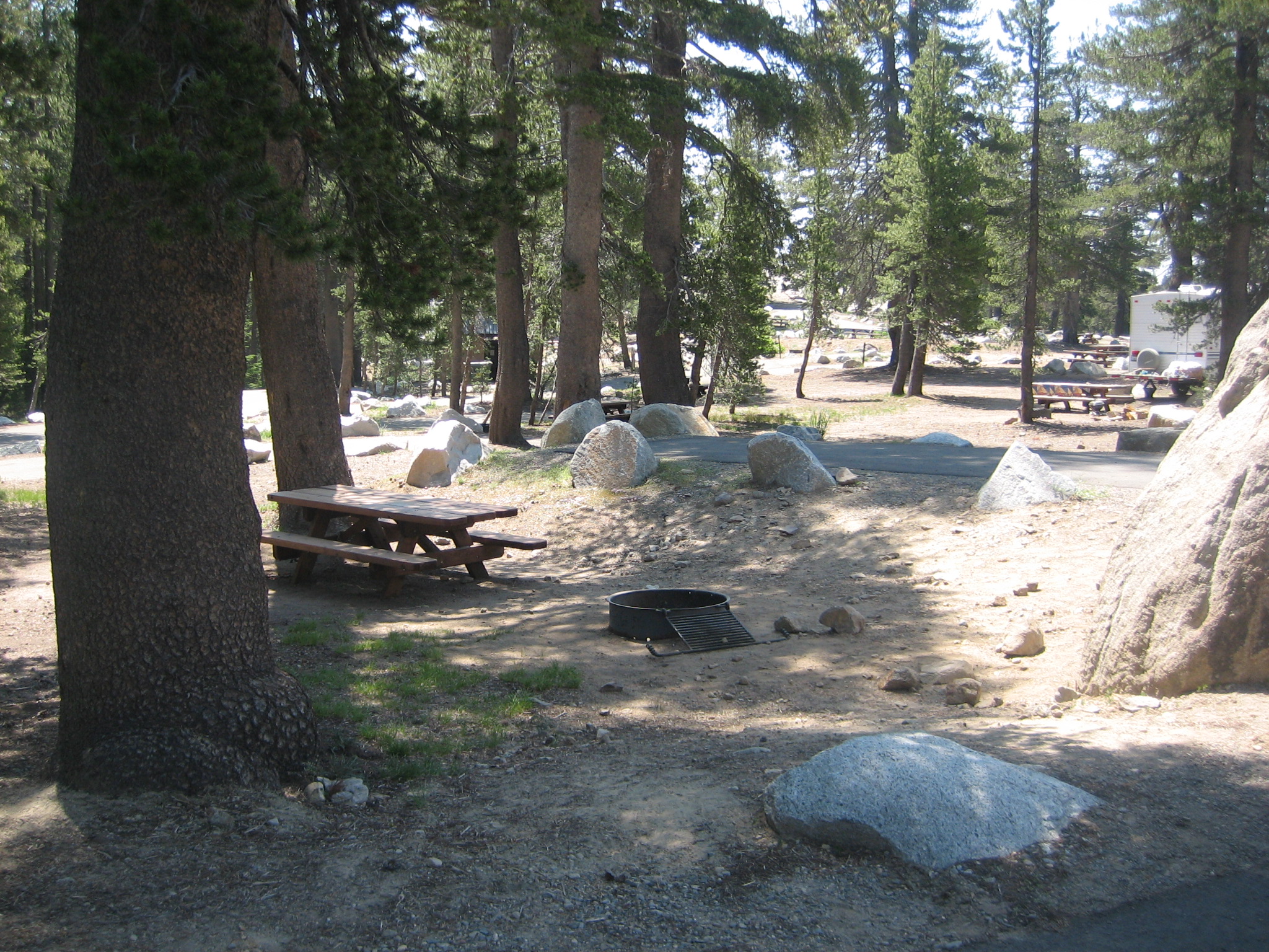 Roomy campsites