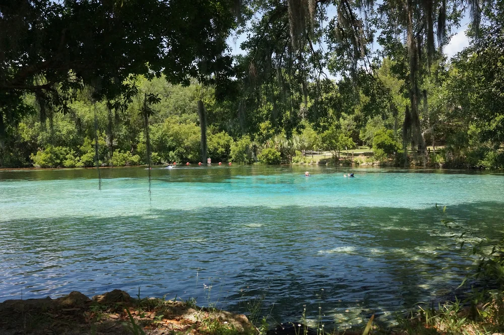 Silver Glen Springs, Ocala National Forest, Lake George Ranger District, Florida