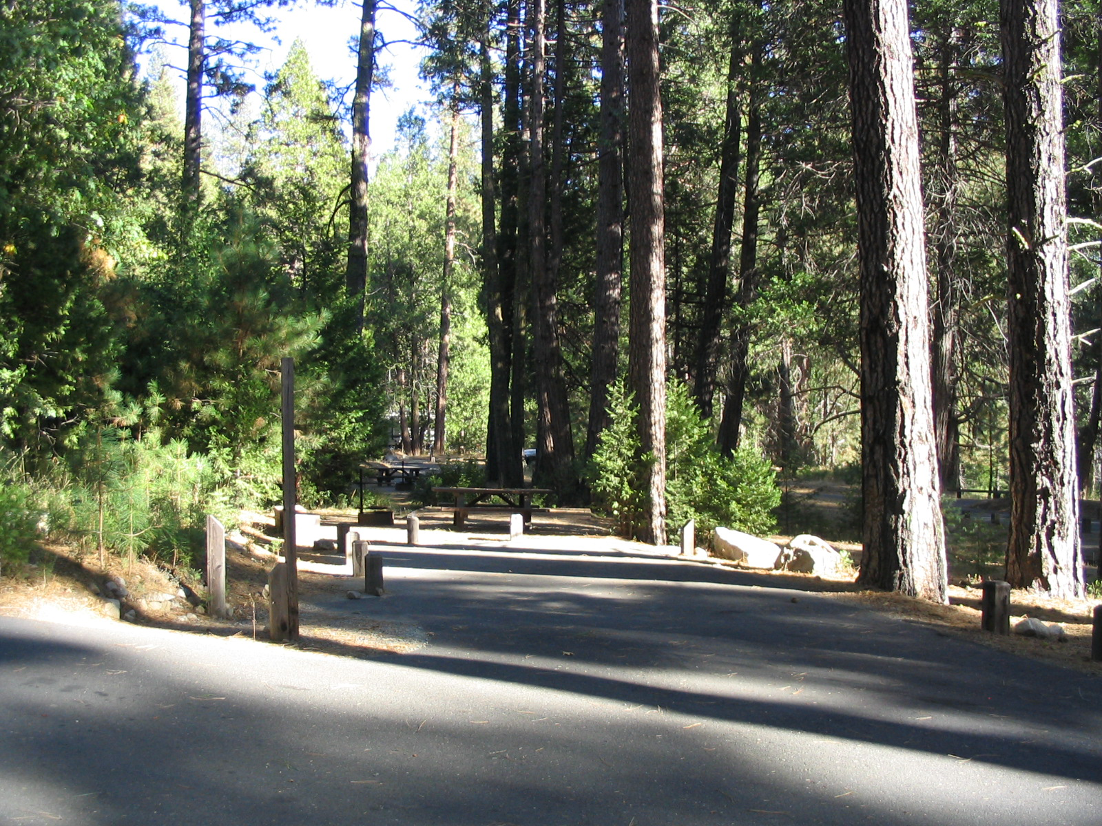 Shady campsites in Dimond O Campground