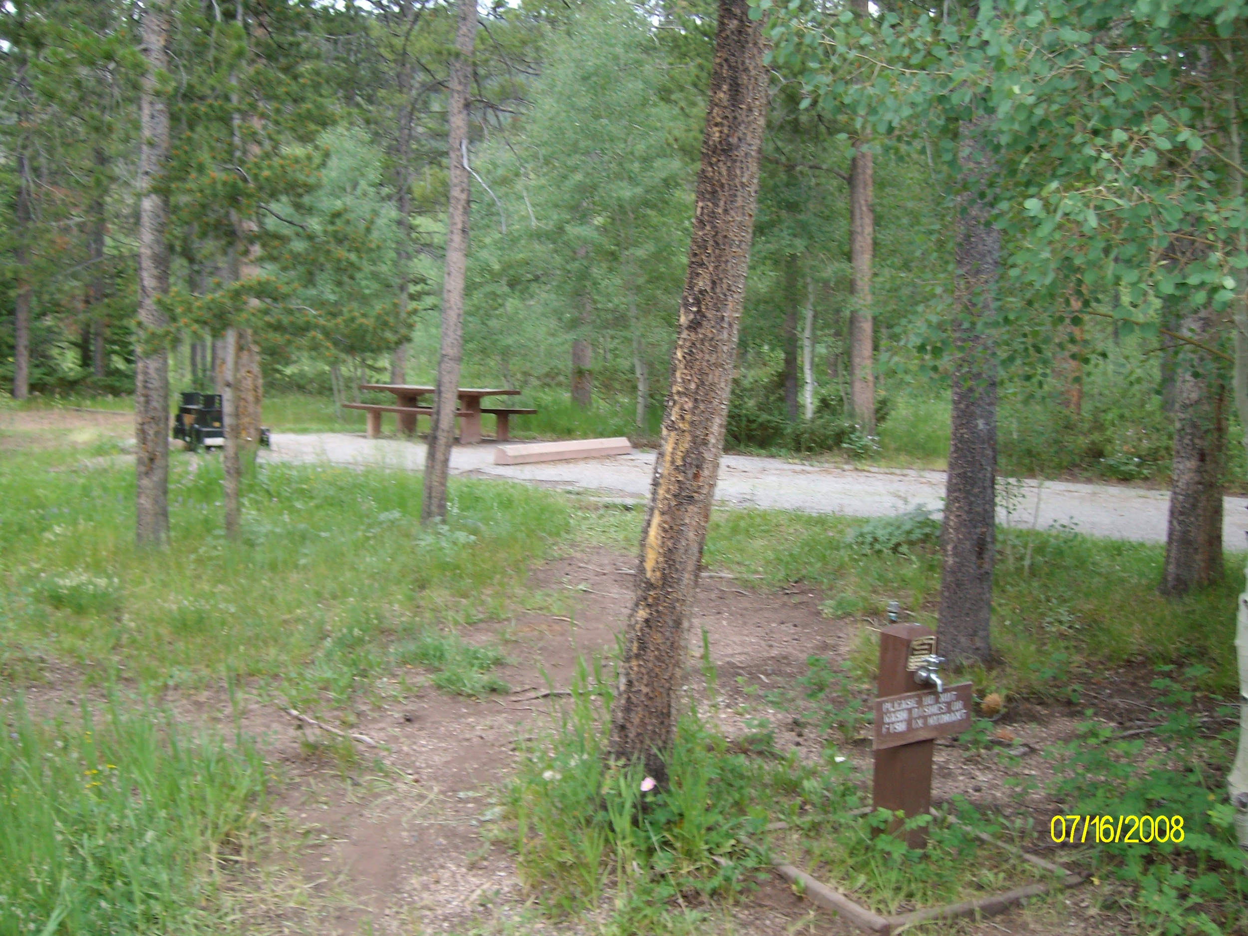 Lodgepole Campground near Flaming Gorge