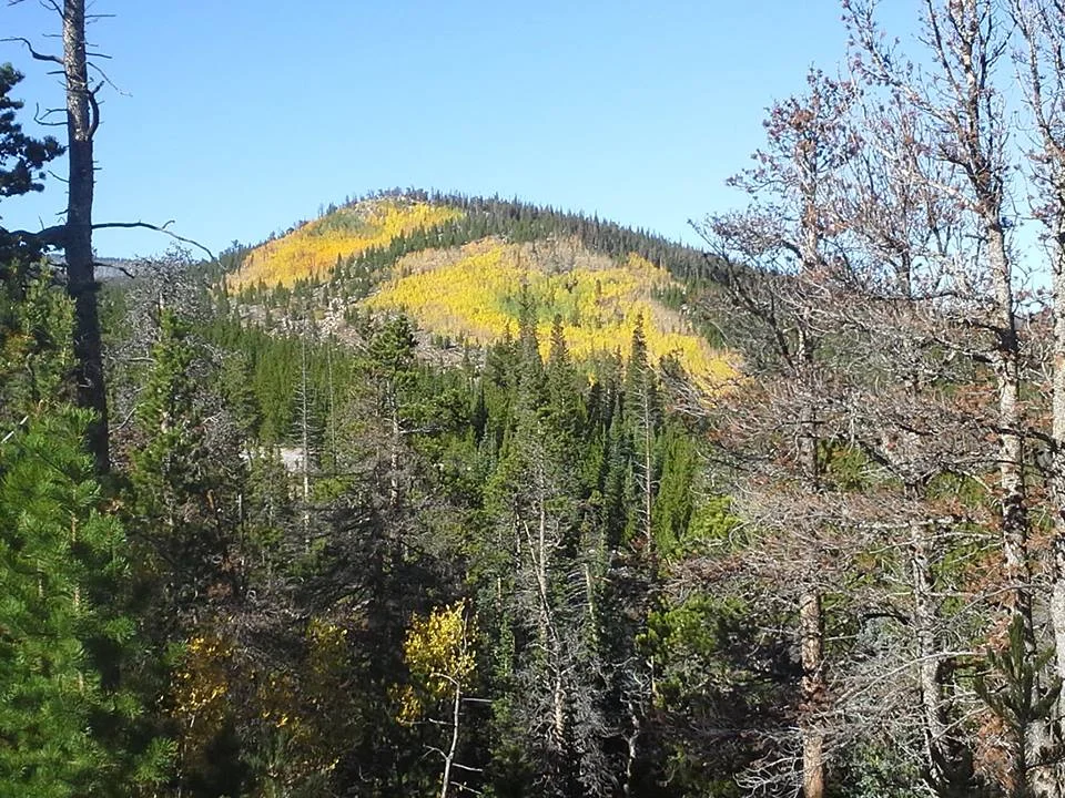 North Fork Poudre Campground view