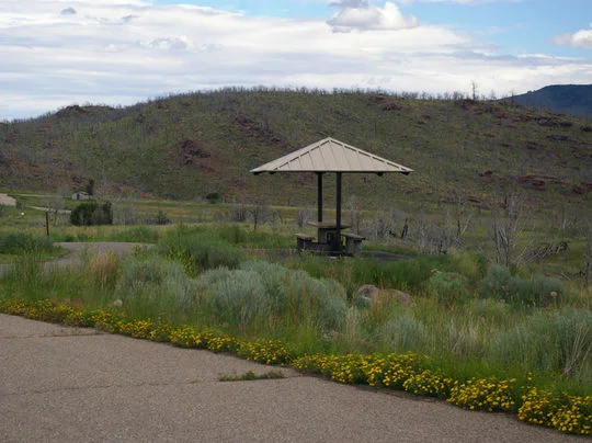 Paved campsites for easy access