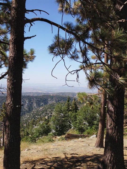 You can see forever from the top of Table Mountain!